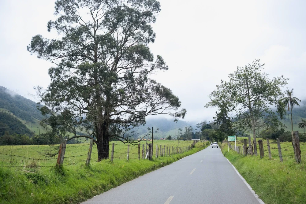 A rural road with rolling green hills, Into Coffee Heartlands