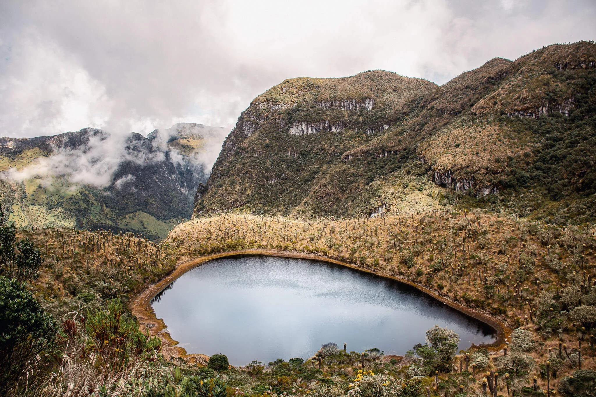 SIFON_JAN26_SCREEN_-34 copy.jpg