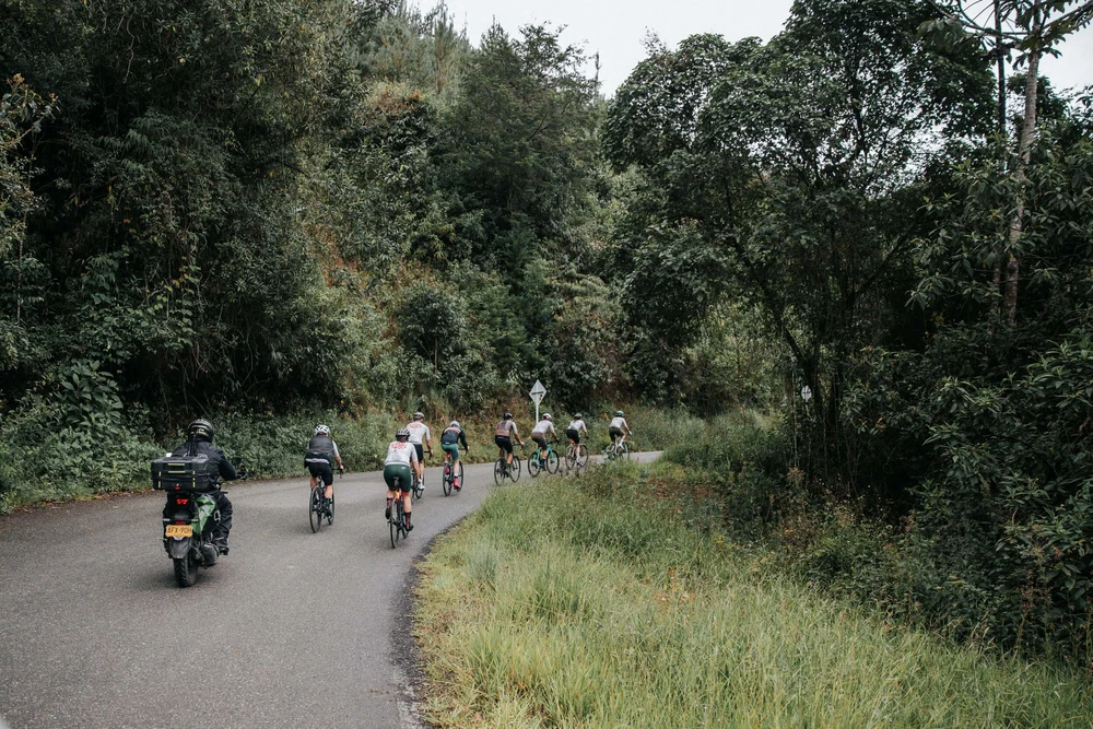 Cyclists on forest road