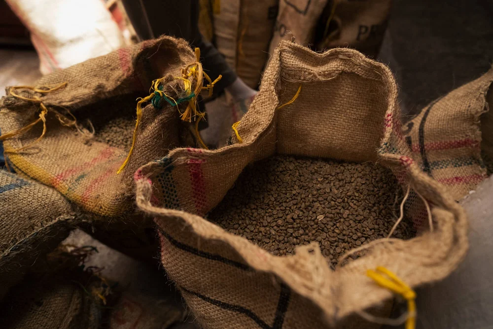 Coffee finca visit, Into Coffee Heartlands