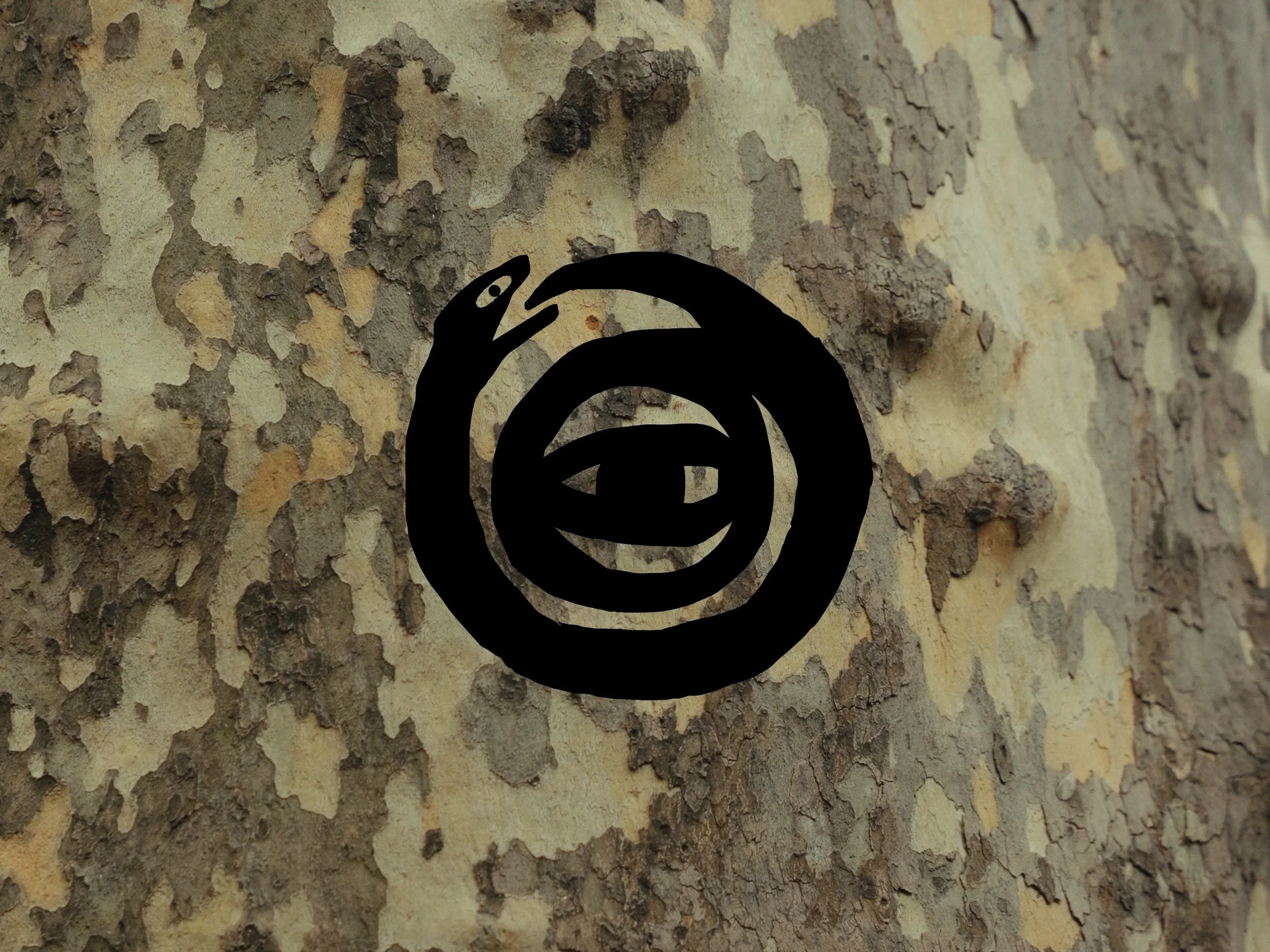Untitled 25.jpg