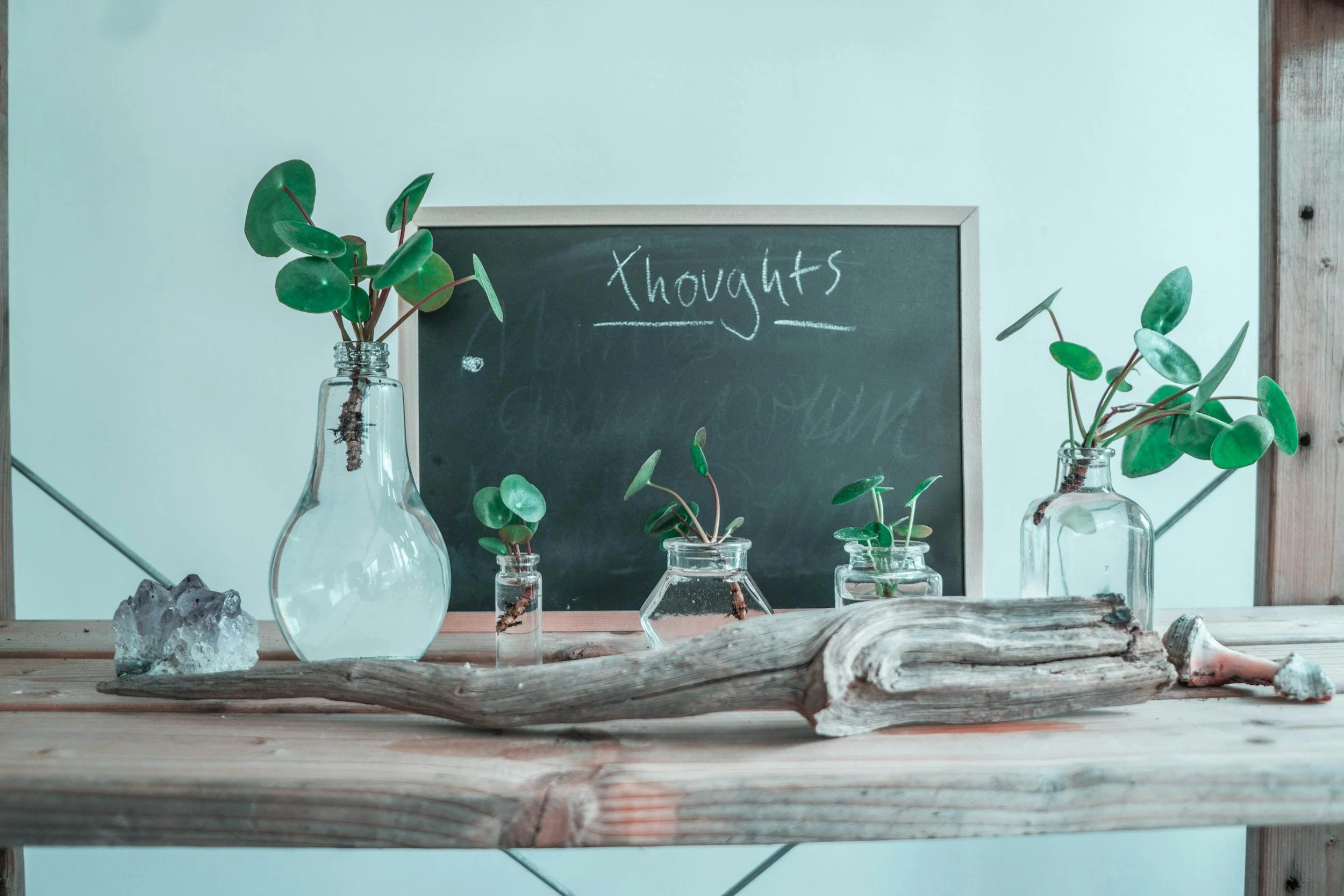 plants in glass jars and a chalkboard with the word "thoughts" on it