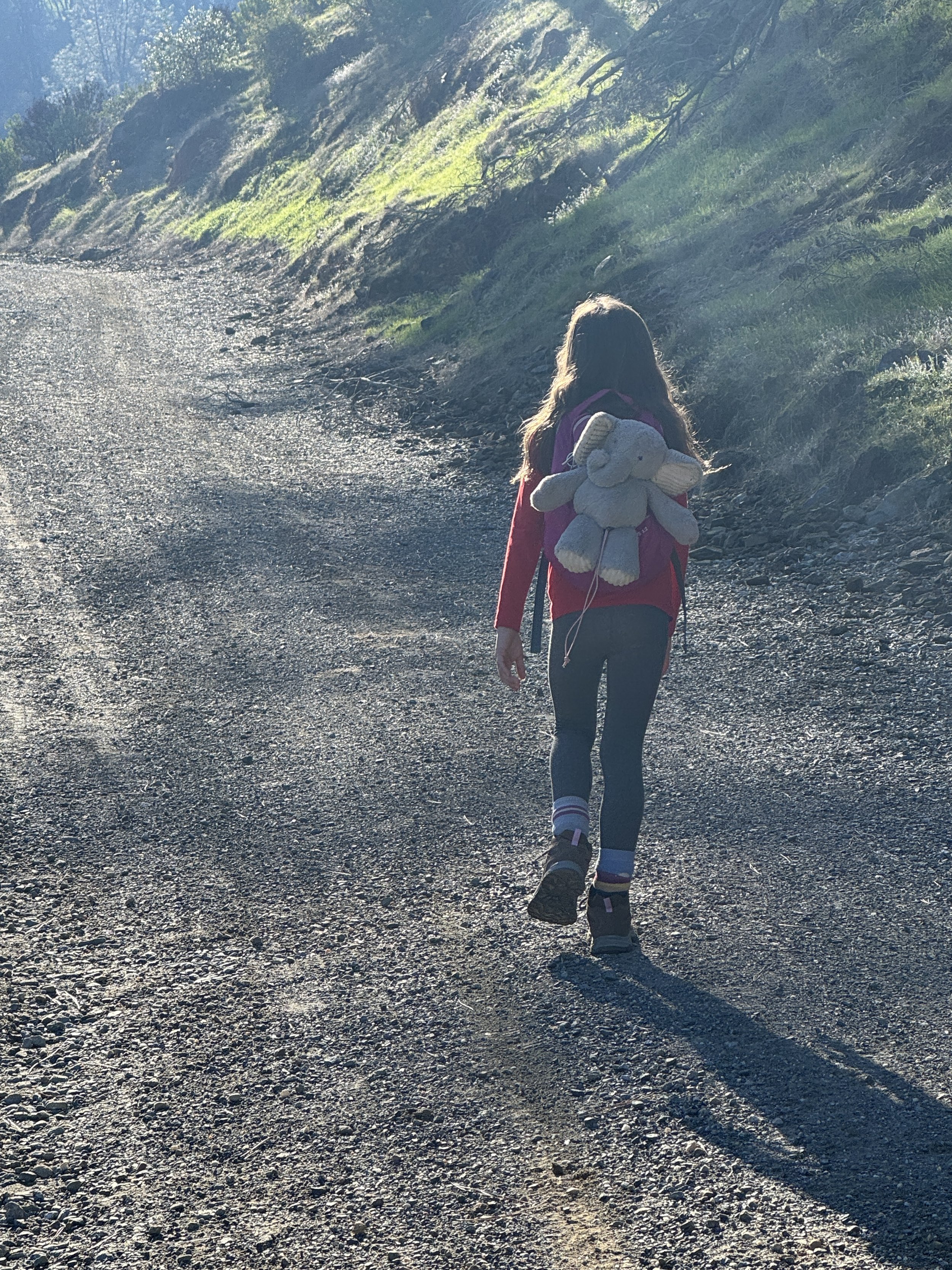 author Sarah's daughter on a hiking trail with her back to the camera, showing elephant stuffie on her backpack
