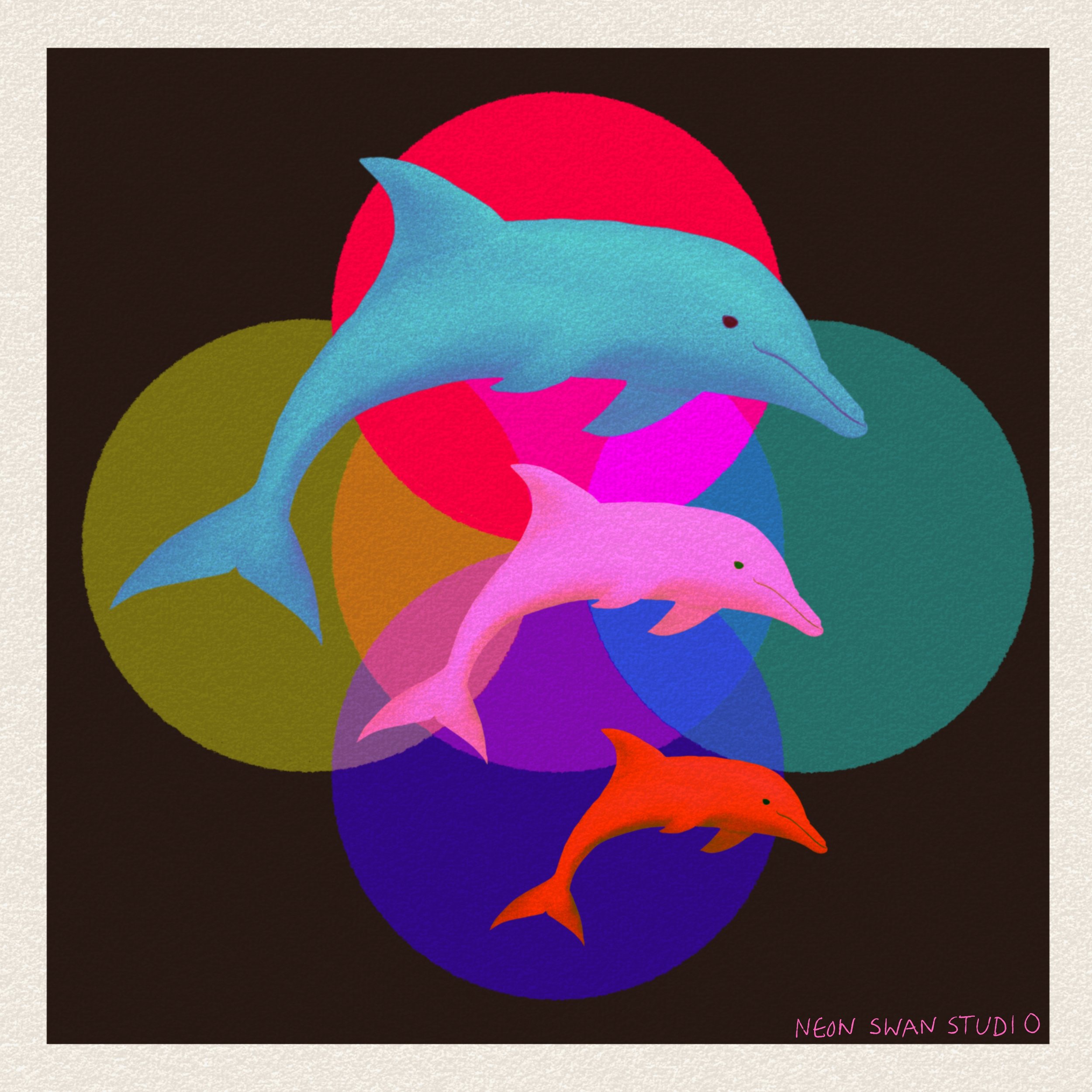 dolphin print.jpg