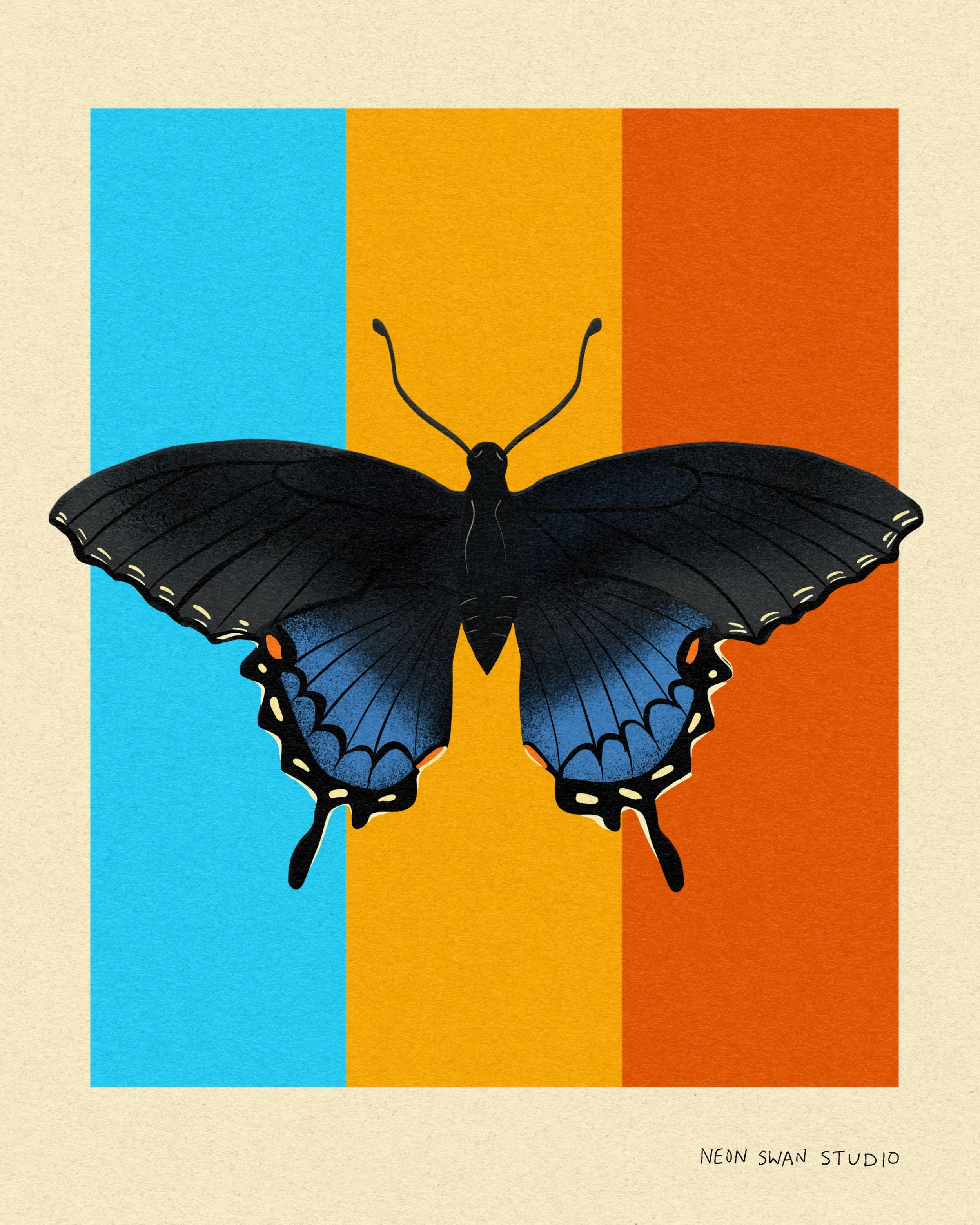 swallowtail.jpg