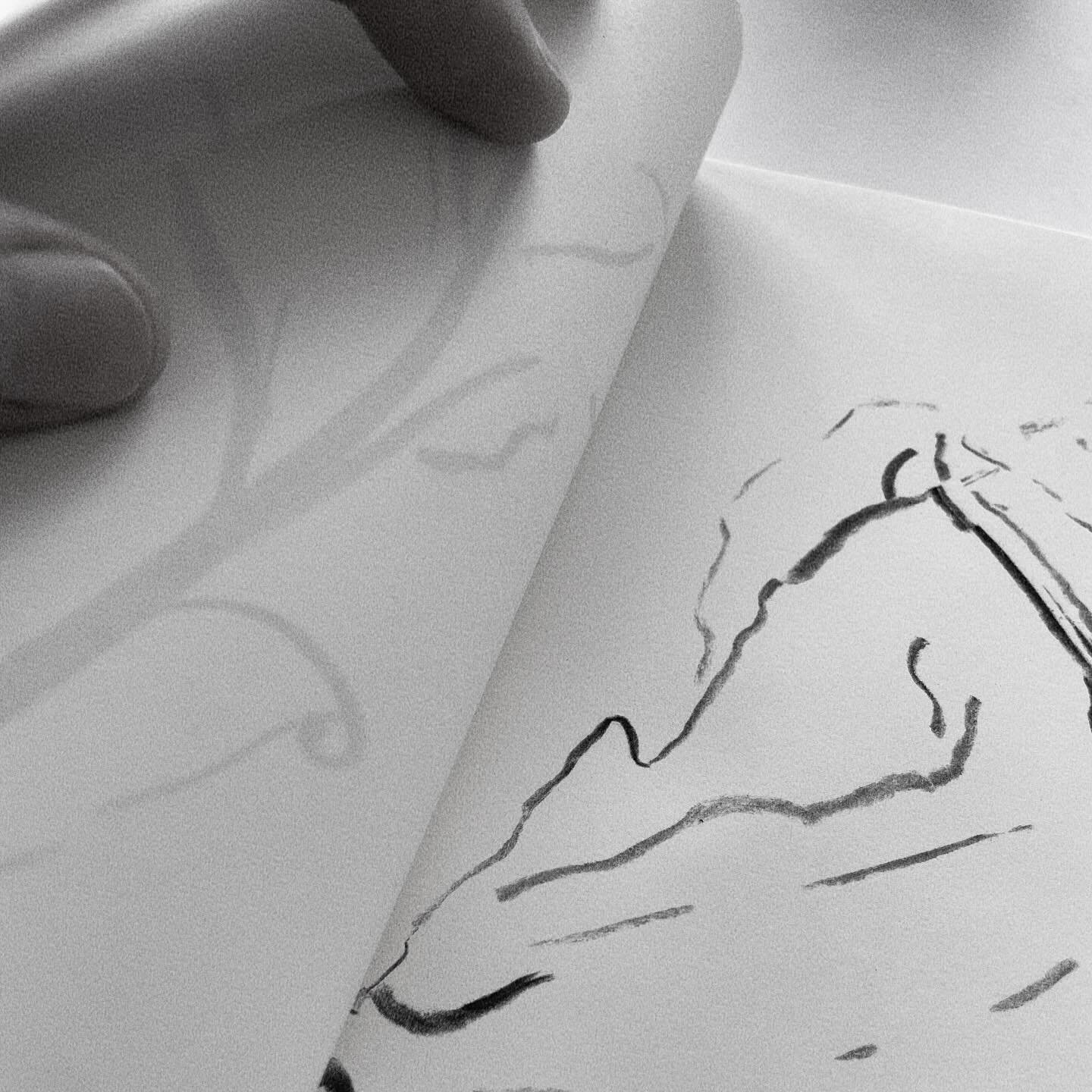 Charcoal on Paper (2023)
by Agustina Garc&iacute;a del R&iacute;o.