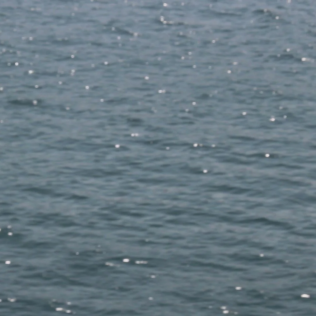 "We enter solitude, in which also we lose loneliness" Wendell Berry.

In Digital Minimalism, Cal Newport notes that avoiding solitude means missing out on its benefits: the ability to solve difficult problems, regulate emotions, build moral