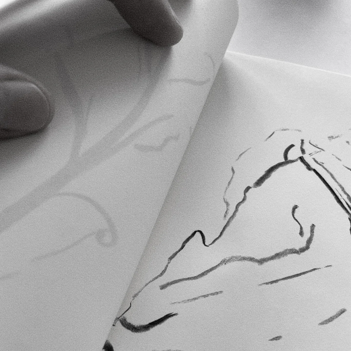 Charcoal on Paper (2023)
by Agustina Garc&iacute;a del R&iacute;o.