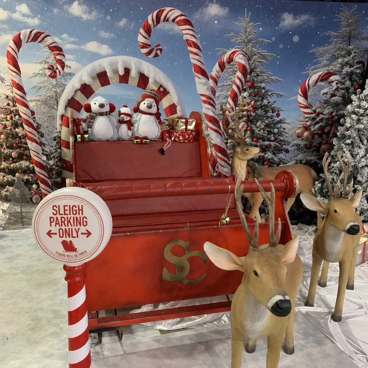 Santa's sleigh and reindeer display at Santa's Cave Waikerie
