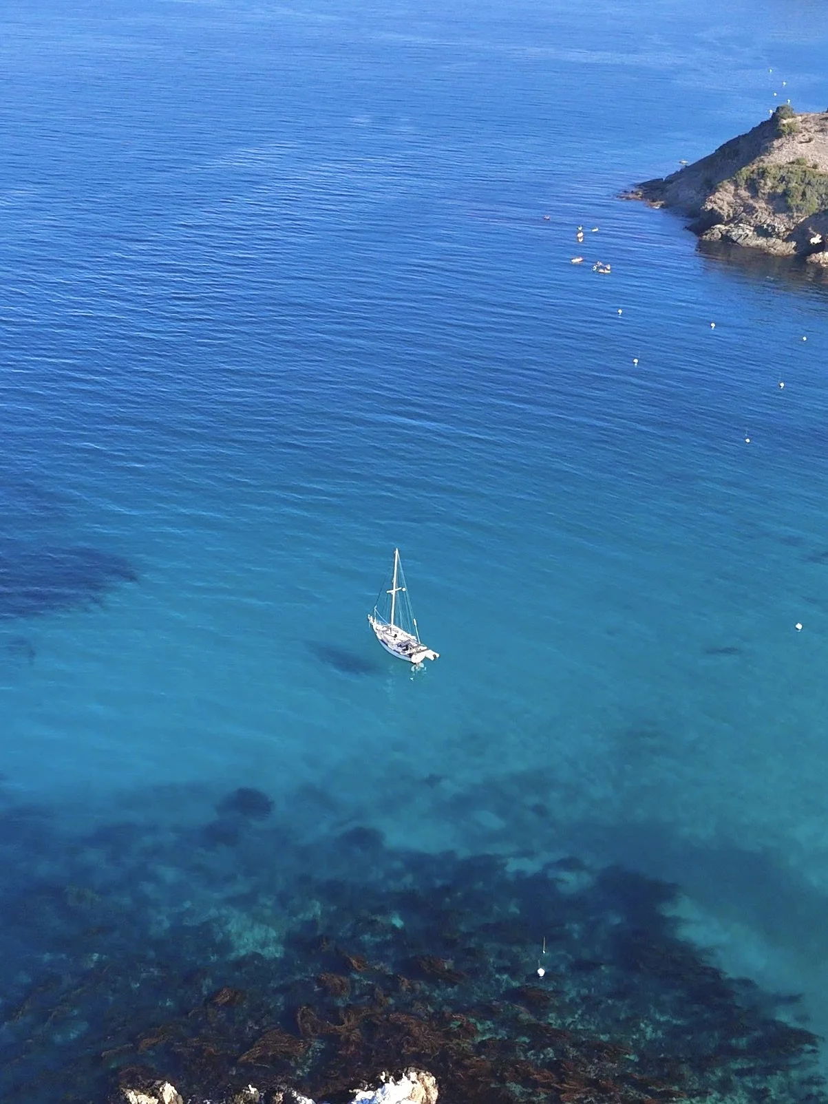 Screenshot 2024-09-30 at 4.23.57 PM.jpeg