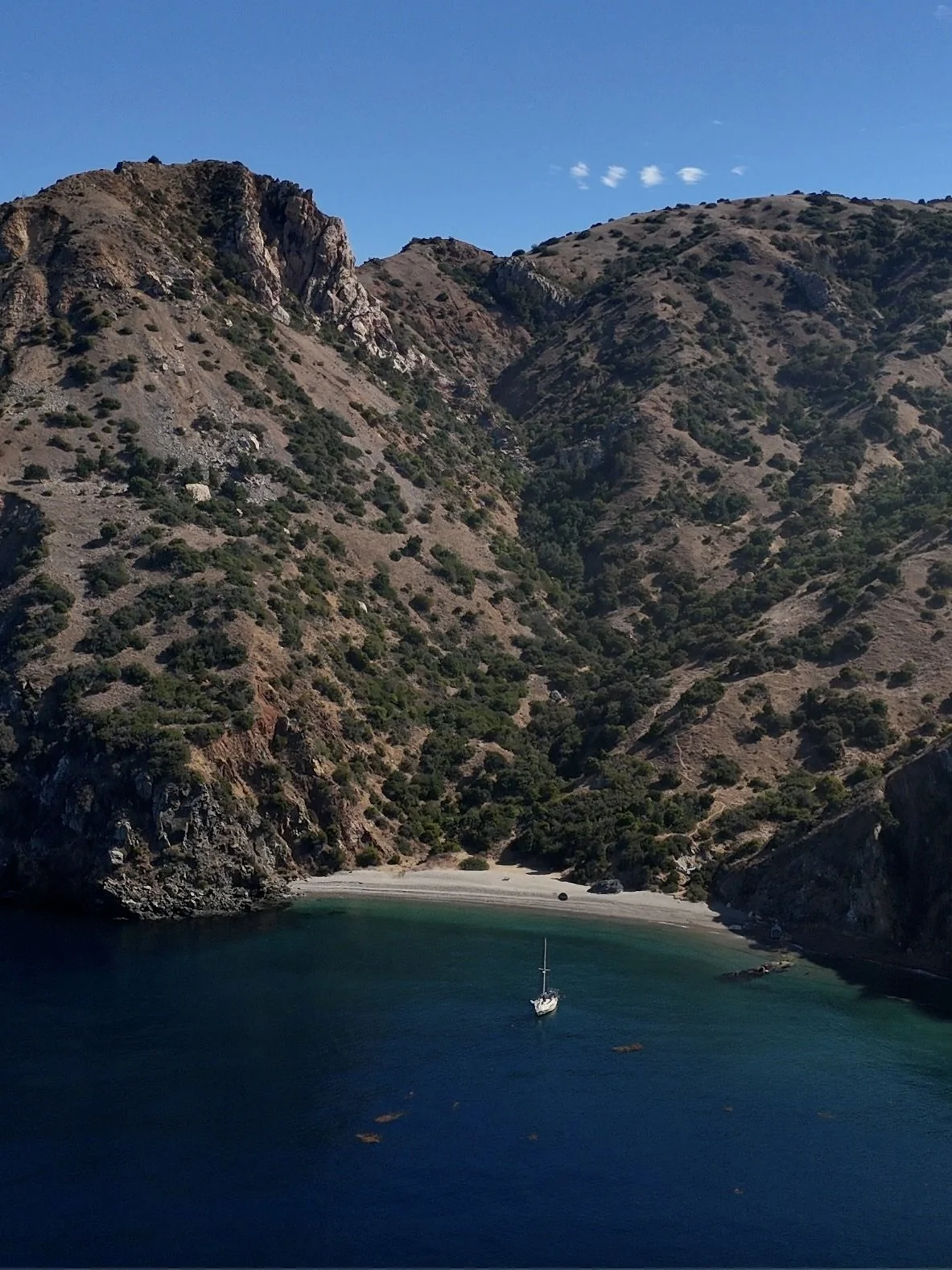 Screenshot 2024-10-24 at 10.00.35 PM.jpeg