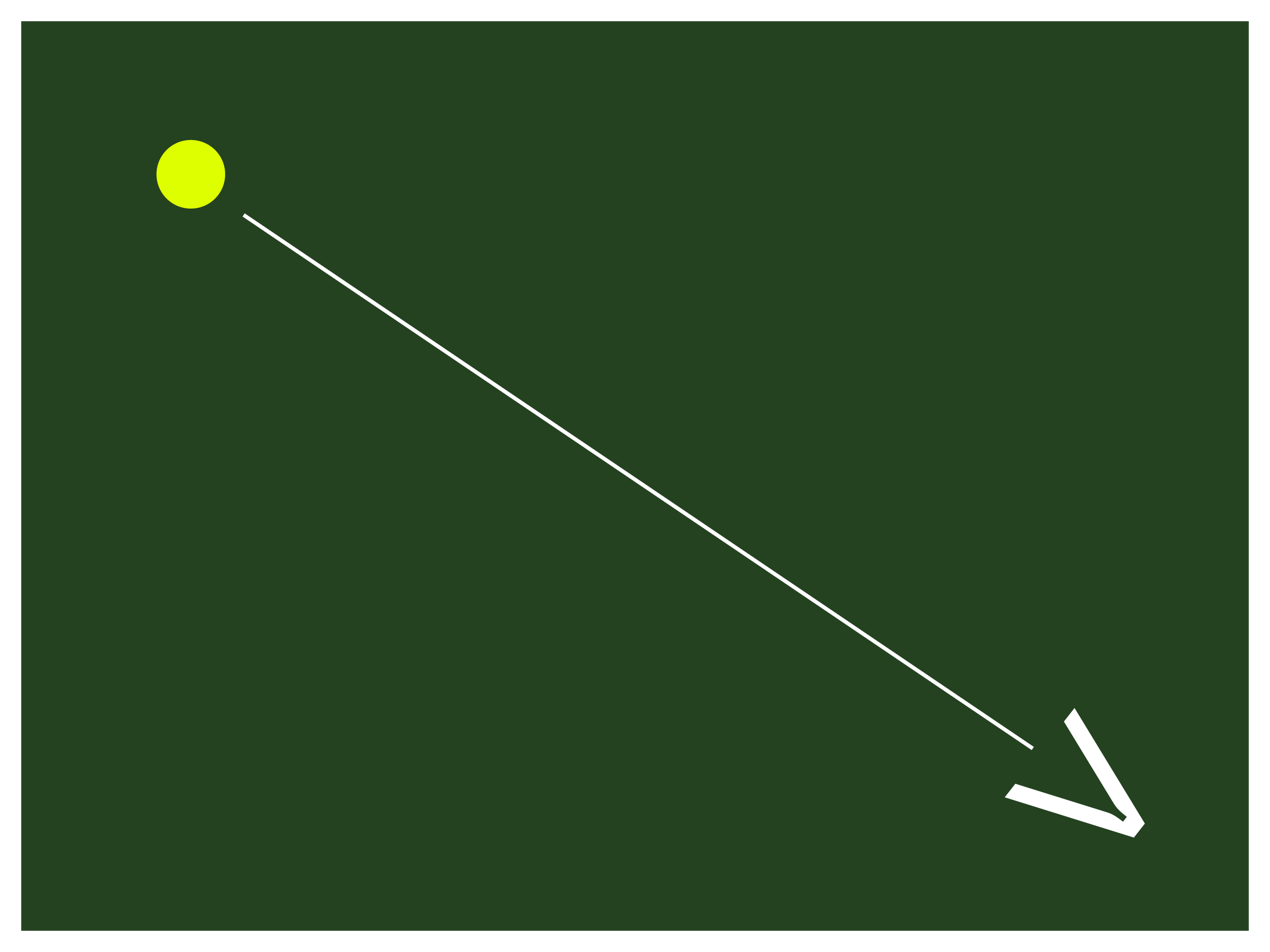 Kyudo_ADGA_shapes.png