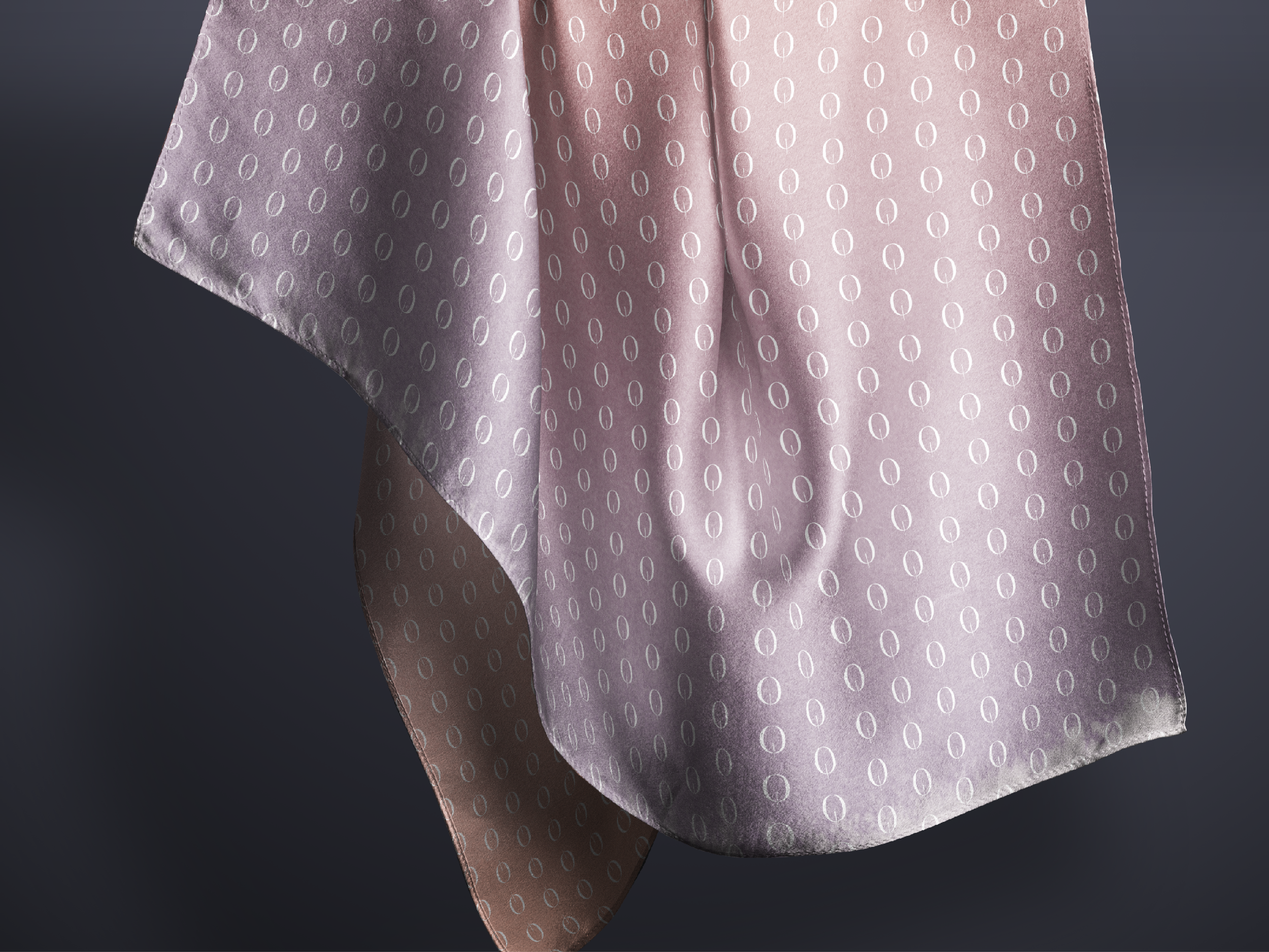 Folio_Qivera10.png