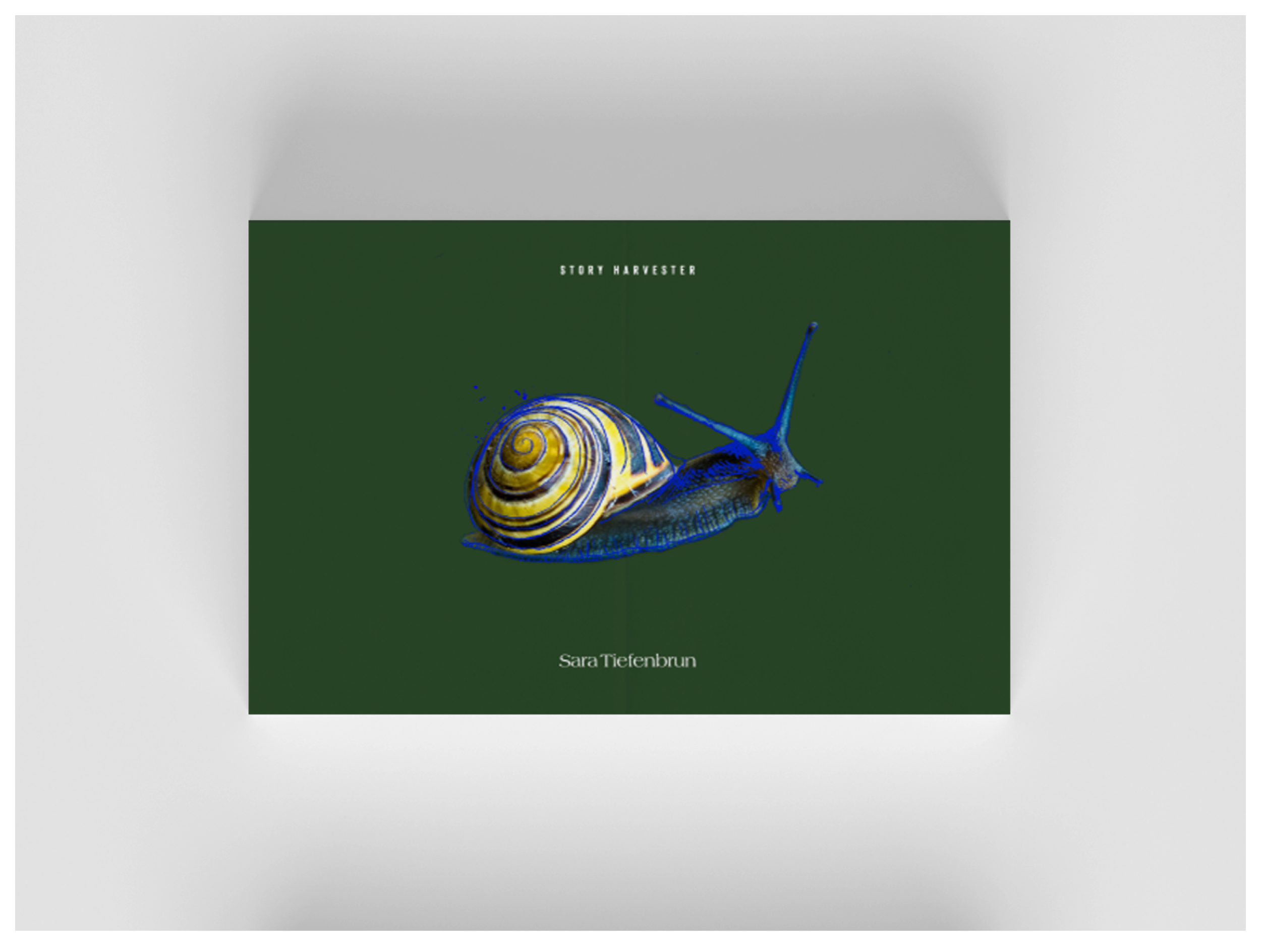 AGDA_Sara9.png