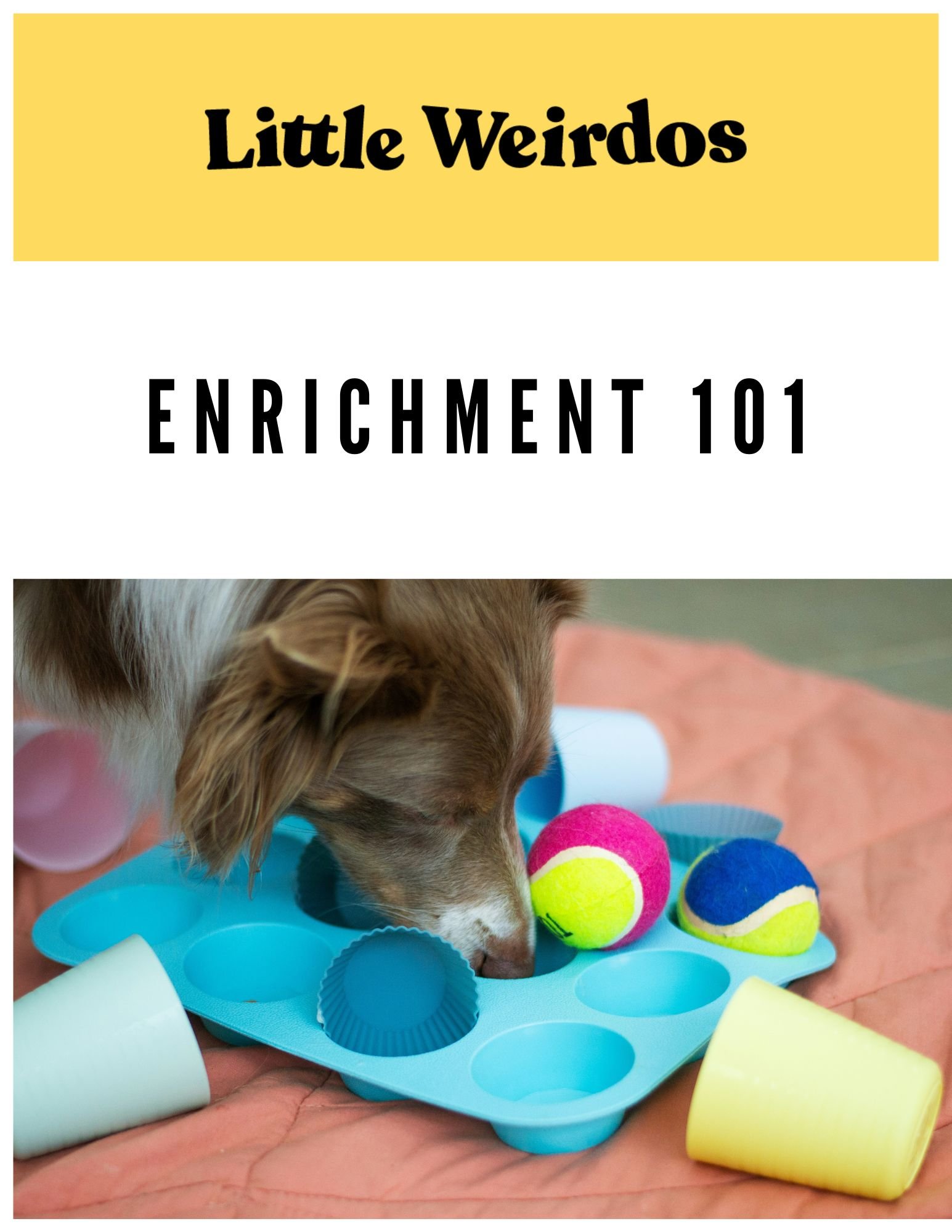 Little Weirdos Dog Enrichment 101