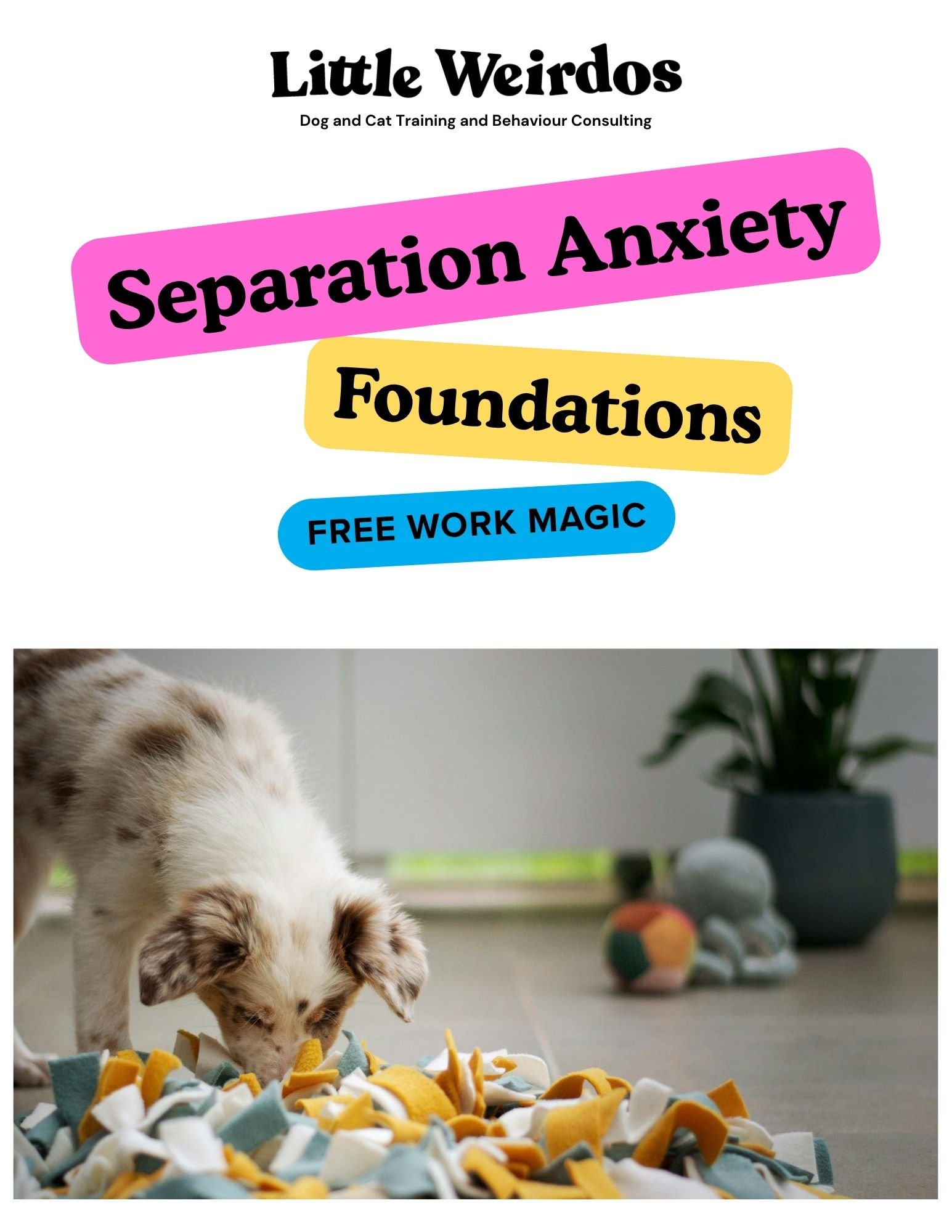Little Weirdos Separation Anxiety Foundations - Free Work