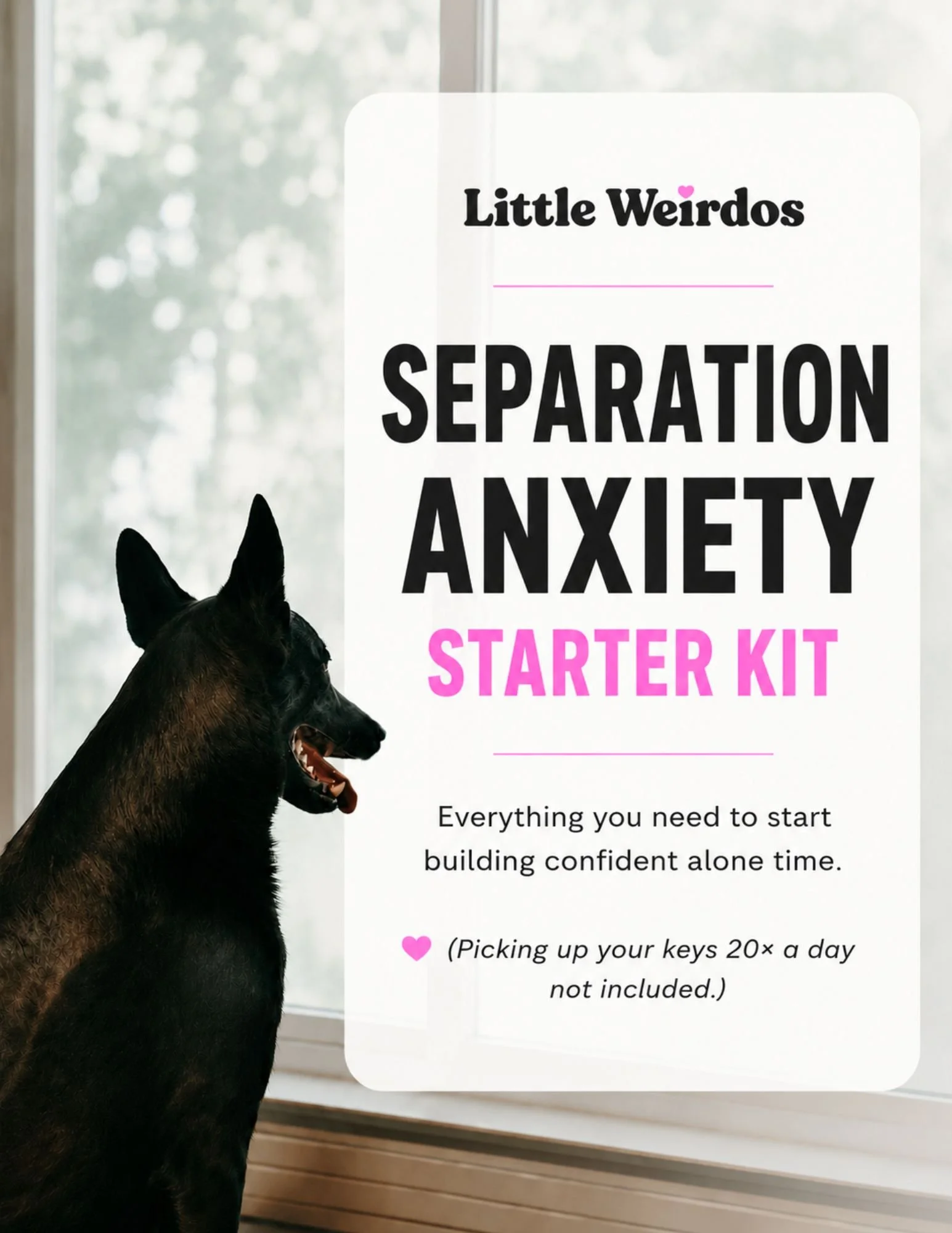 Little Weirdos Separation Anxiety Starter Kit