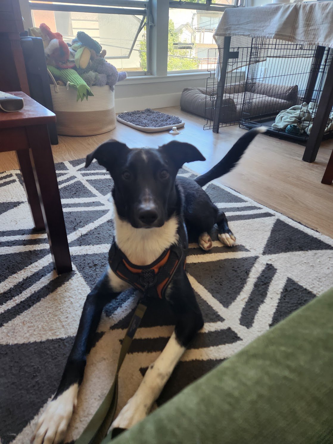 So great to meet Tobi and his mom for a fun in-person session!