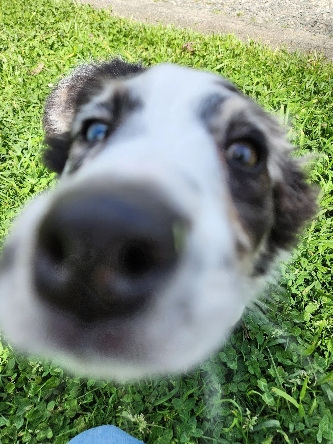 20250408_110951.jpg