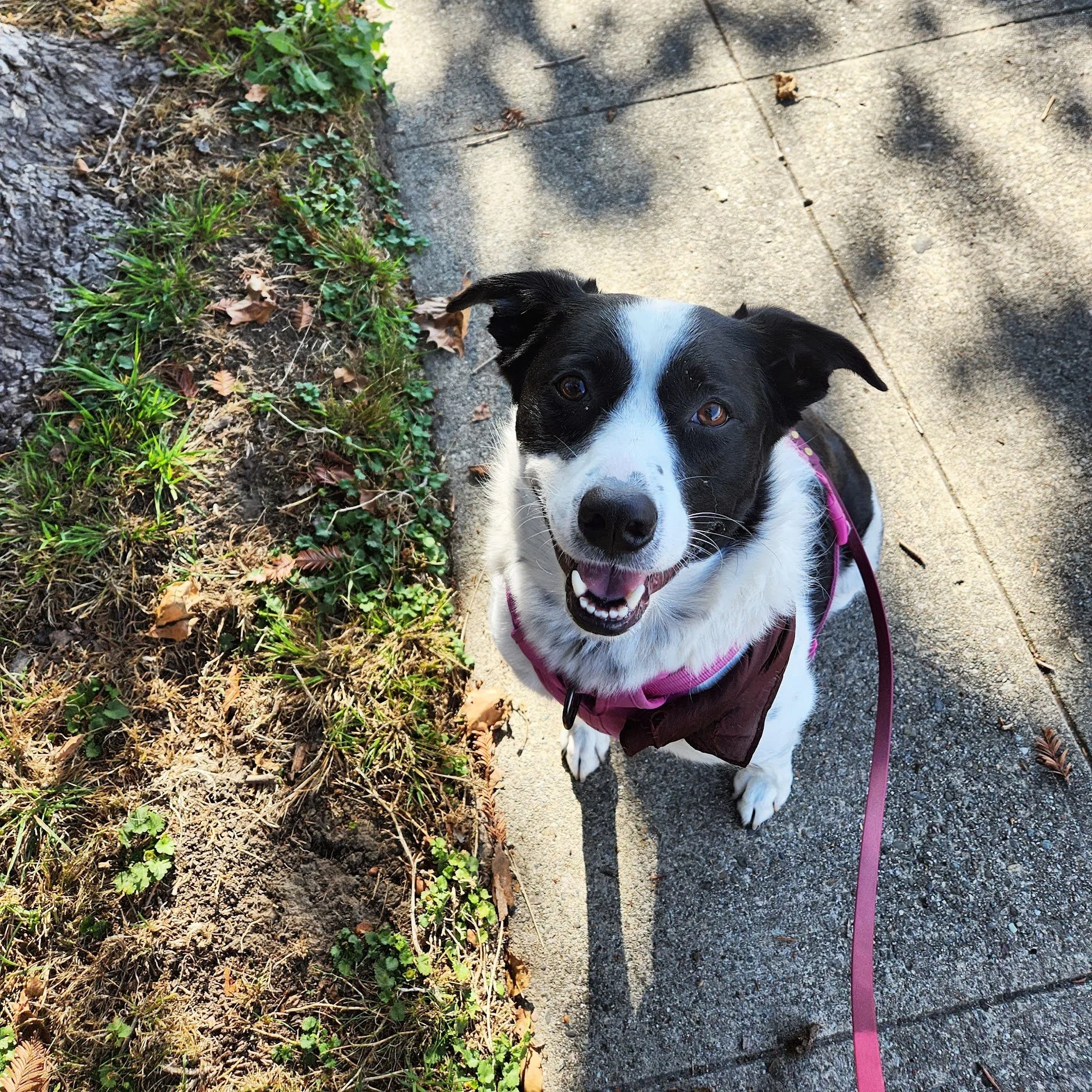 Callie was ready to show off on her Tag-Along Walk+Train!