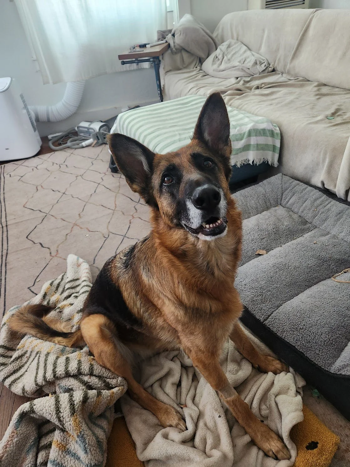 Frances is quite enthusiastic at the prospect of eating some cheese!