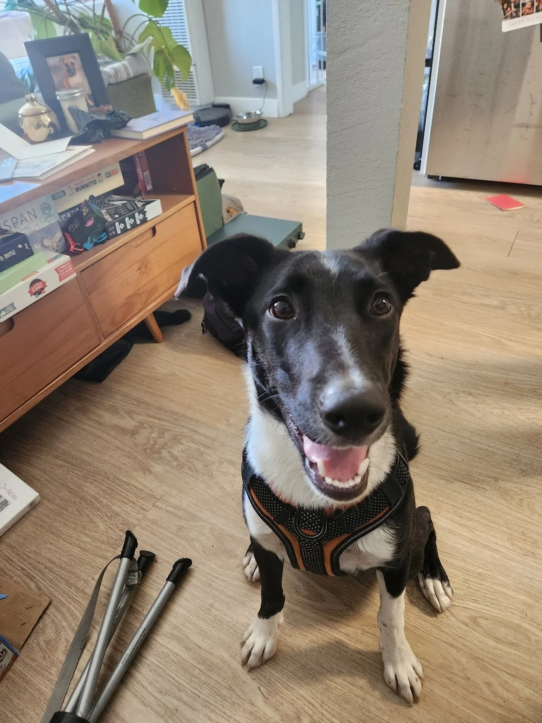 Tobi was so excited to go on his first Tag-Along Walk+Train!