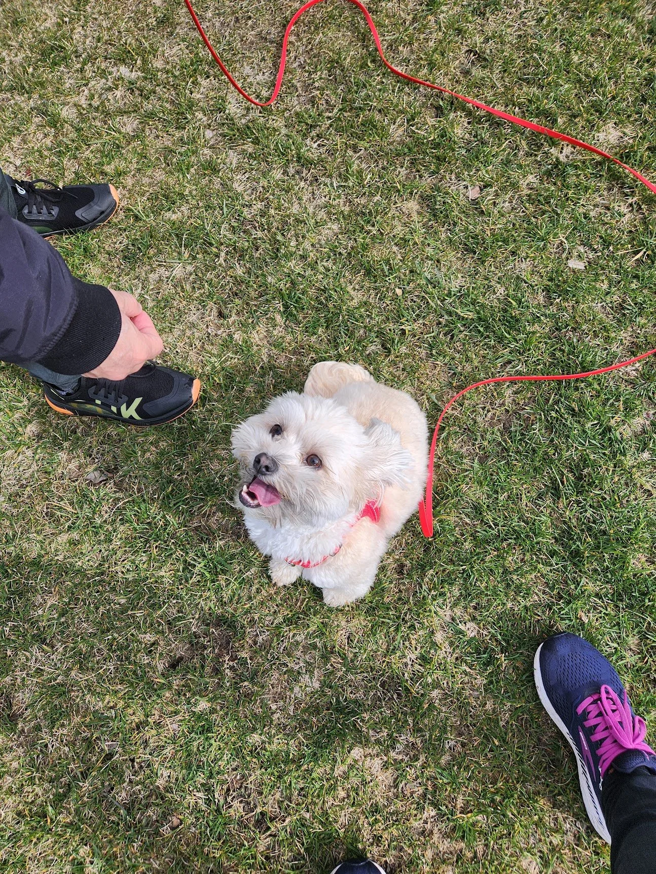 Oona checking in for a quick photo midway through her victory lap at the park!