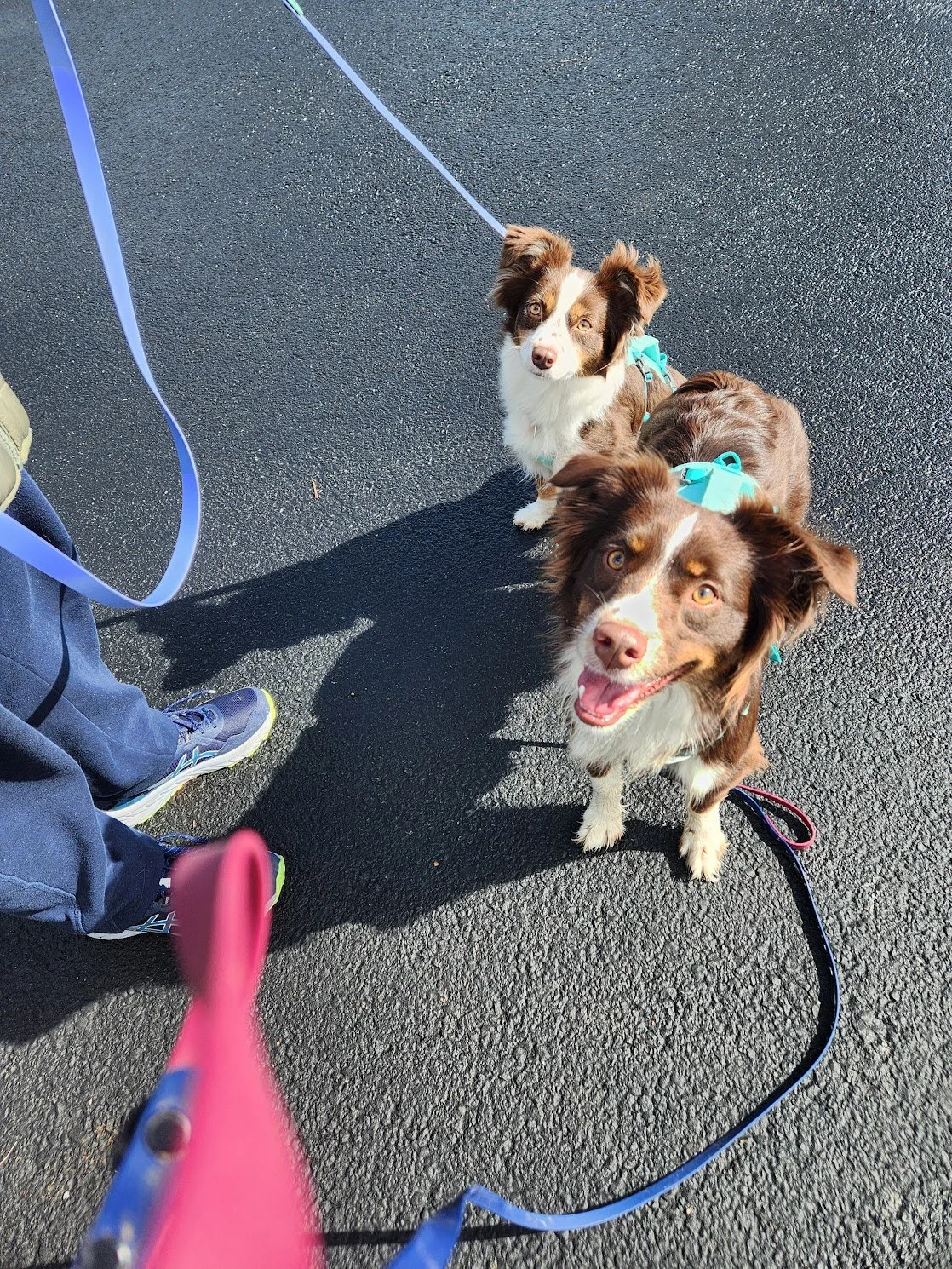 Siblings Wally and Gertie were up for a fun adventure with their dad on our Tag-Along Walk+Train!