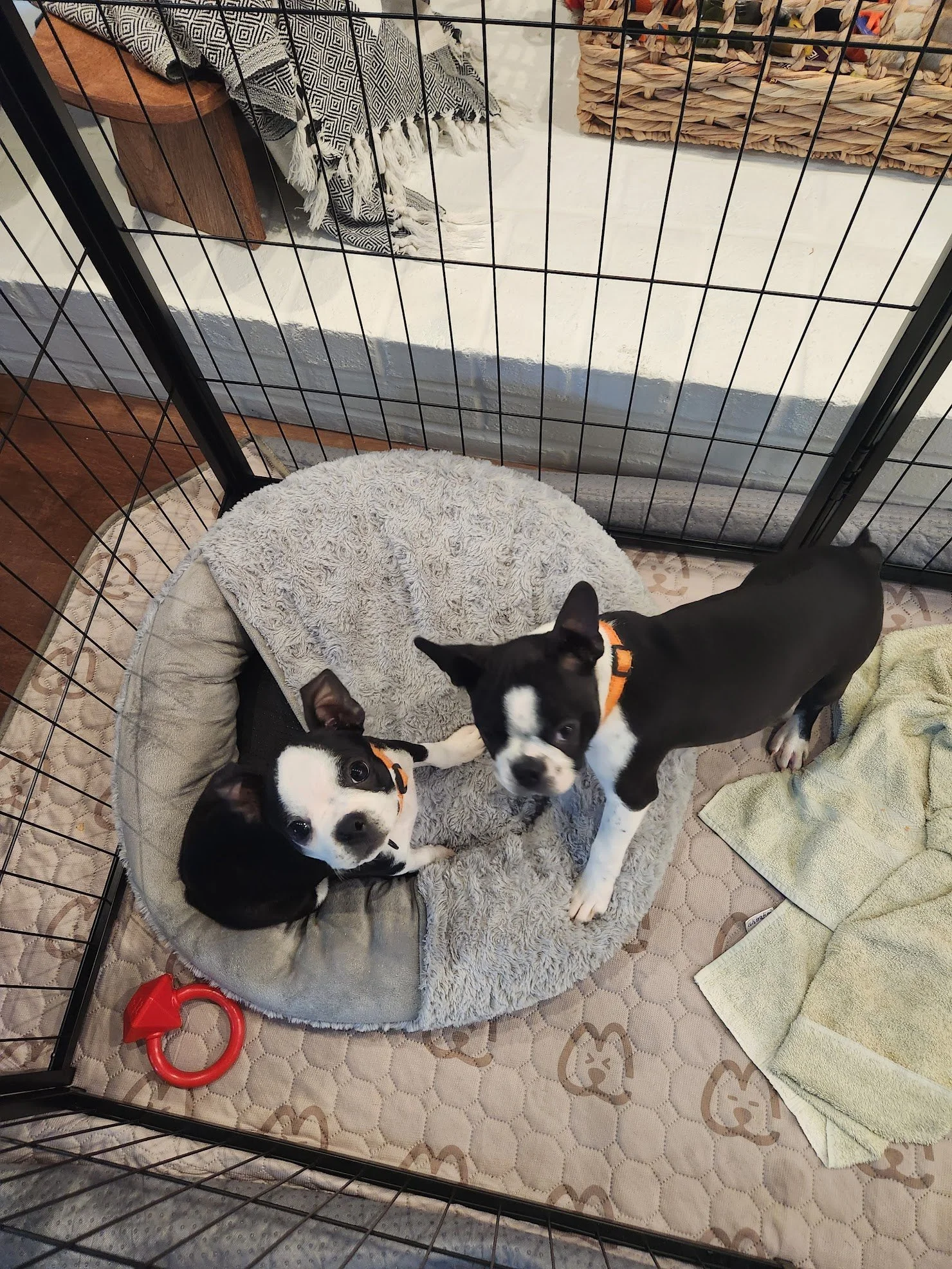 Ben and Lucy from above!