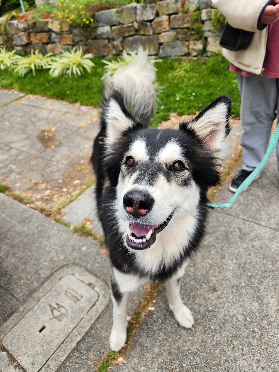 Caesar was excited to take his first Tag-Along Walk+Train!