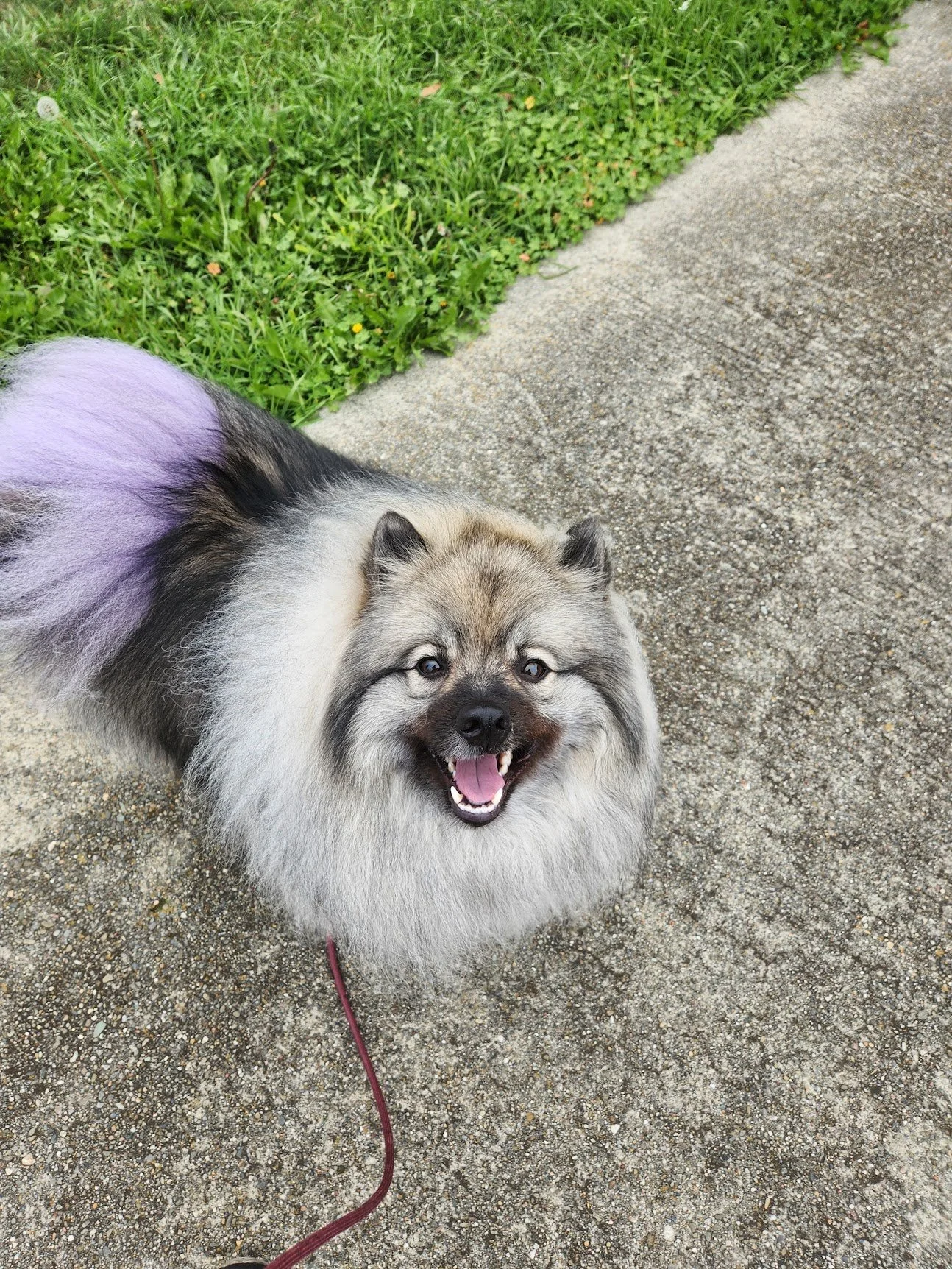 Egg-Marie offering lovely check-ins on our Walk+Train!