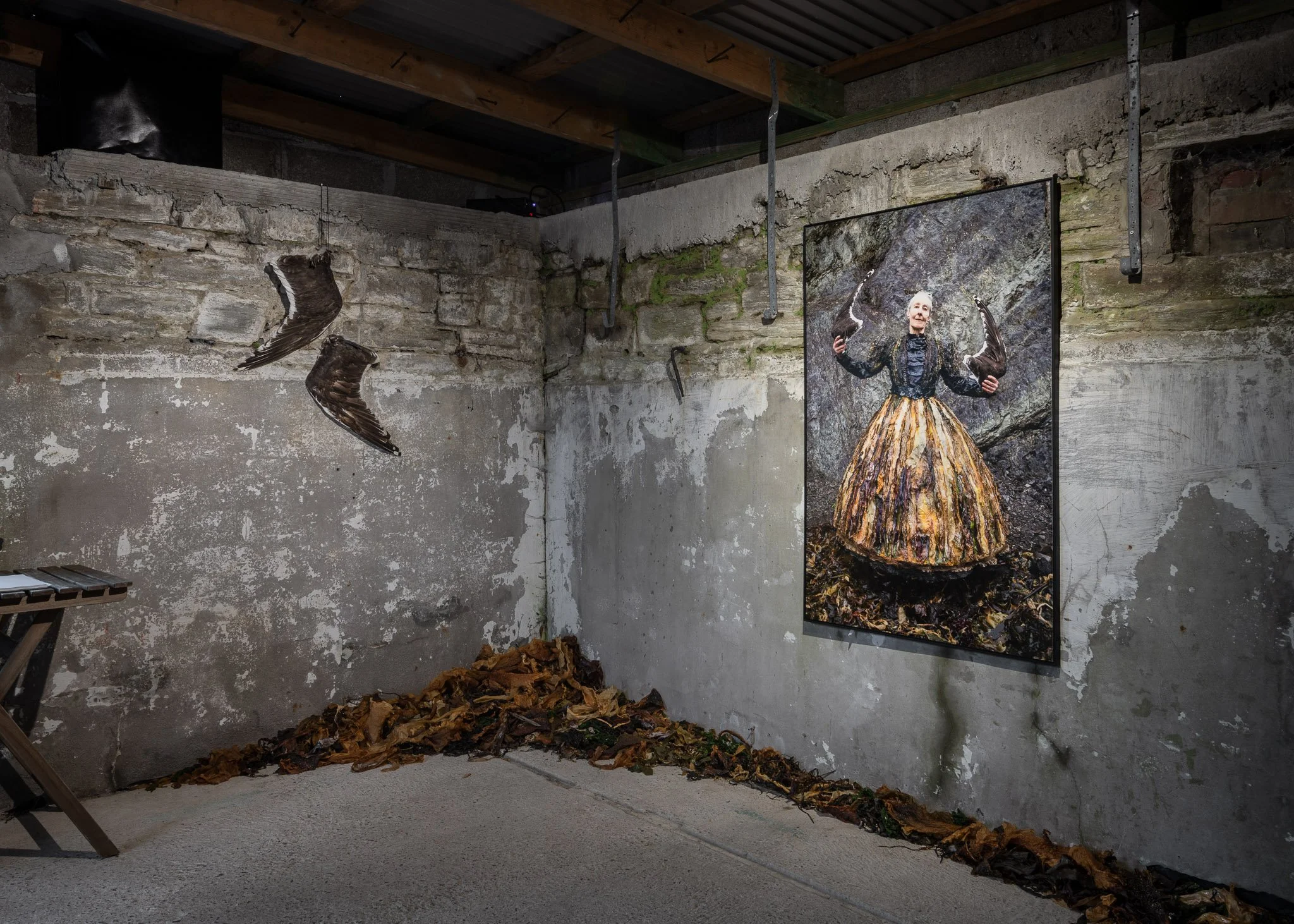 jedniezgoda.com_jedniezgoda.com_Bere Island Arts Festival_250_WEB.jpg