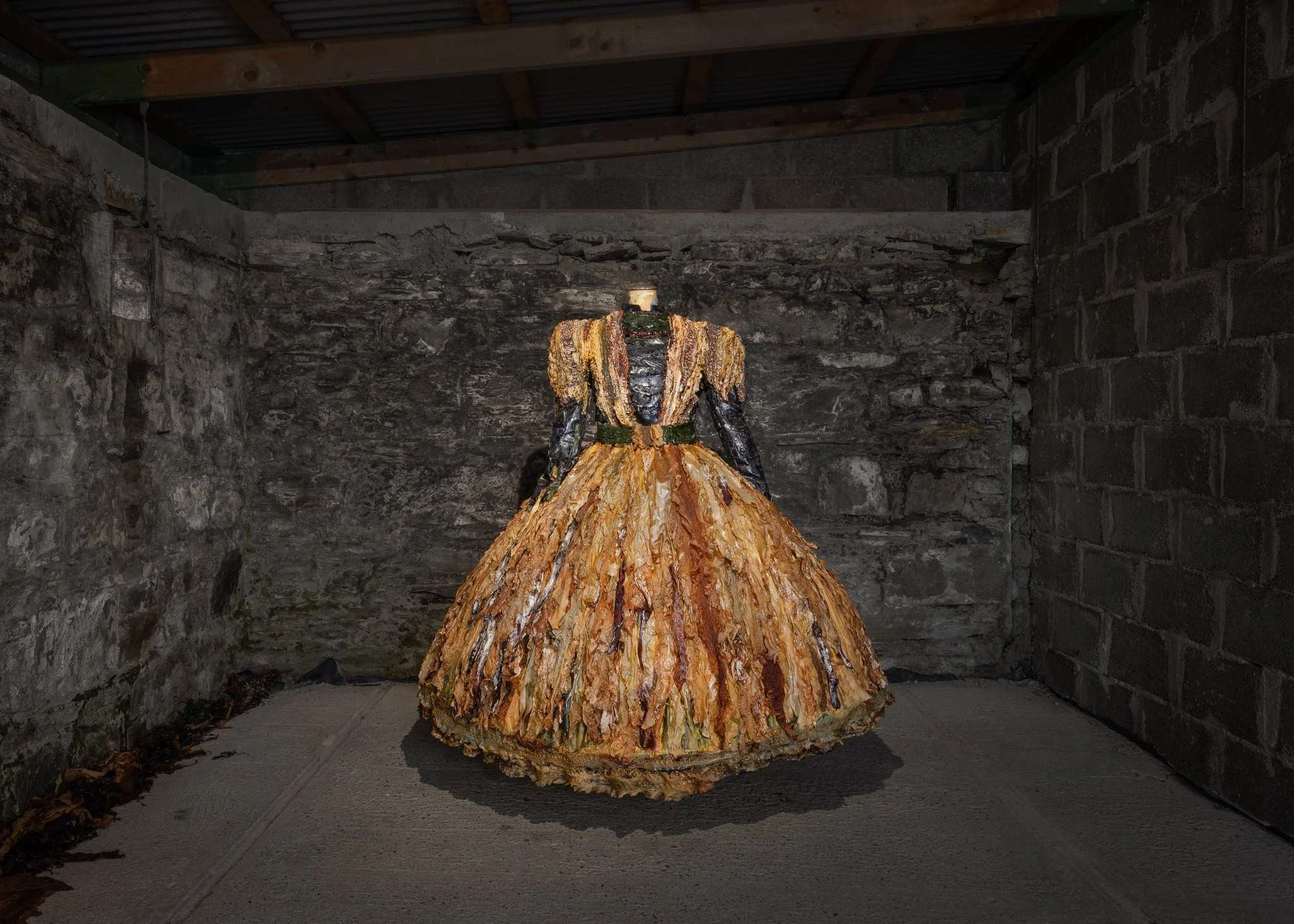 jedniezgoda.com_jedniezgoda.com_Bere Island Arts Festival_248_WEB.jpg