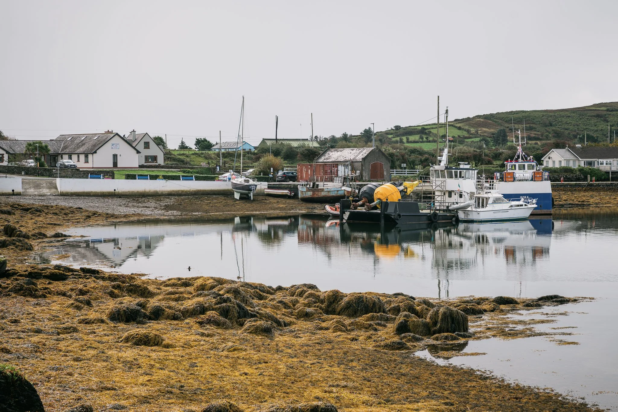 jedniezgoda.com_Bere Island Arts Festival 2025_136_WEB.jpg