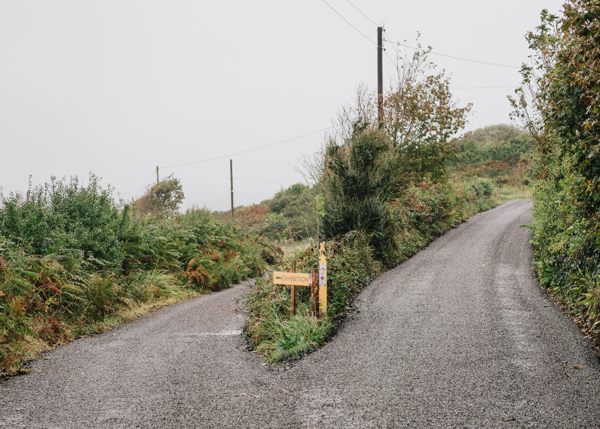 jedniezgoda.com_Bere Island Arts Festival 2025_39_WEB.jpg