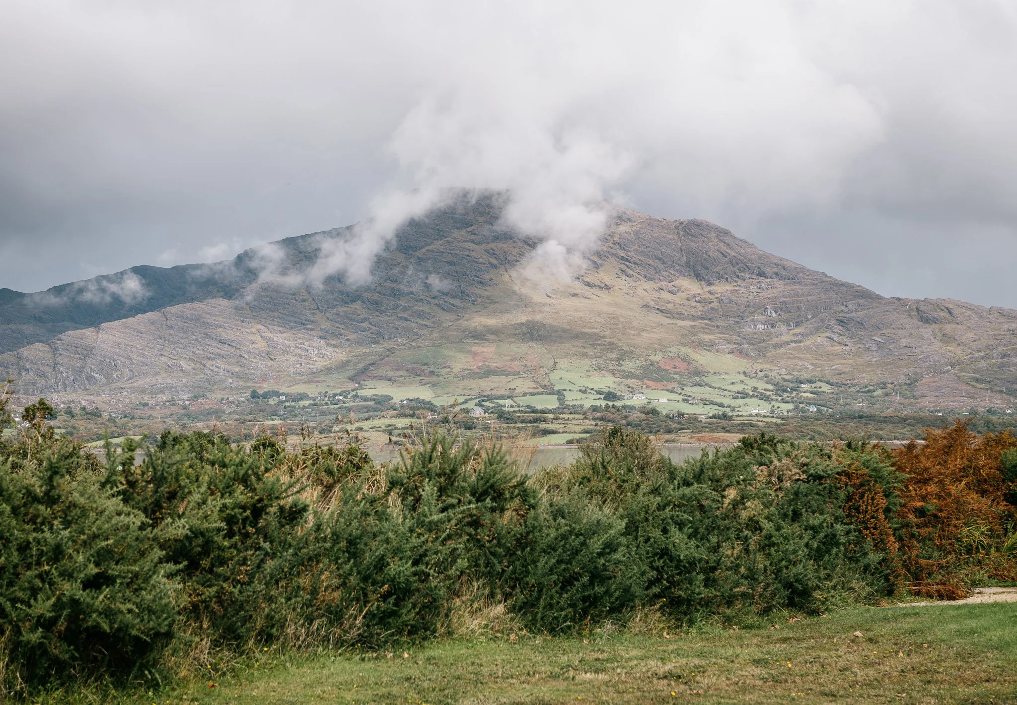 jedniezgoda.com_Bere Island Arts Festival 2025_149_WEB.jpg