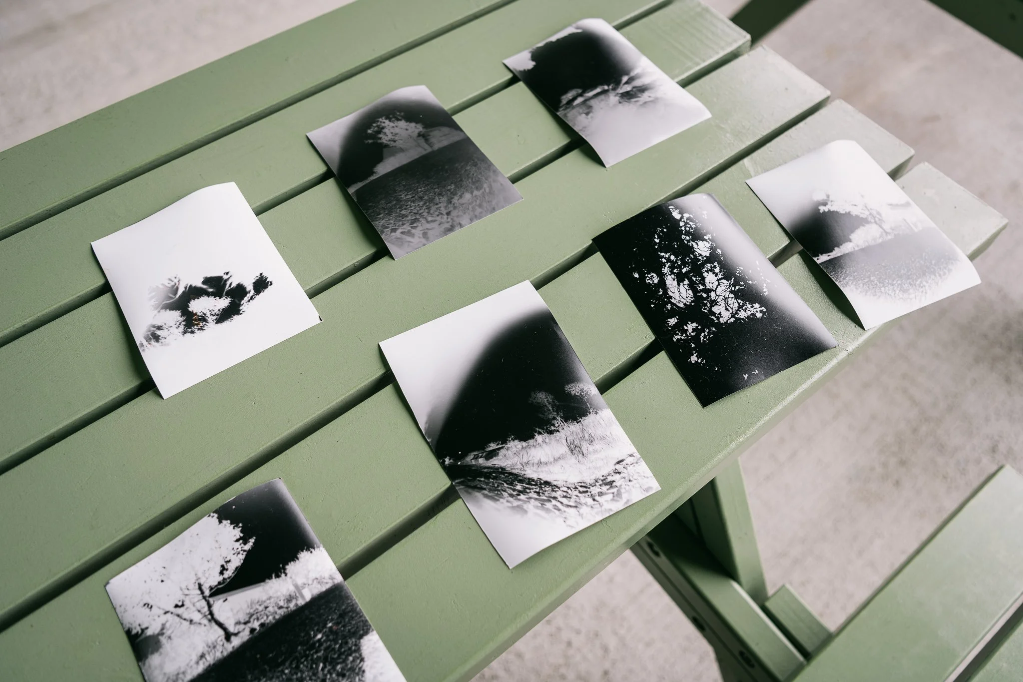 jedniezgoda.com_Bere Island Arts Festival 2025_152_WEB.jpg