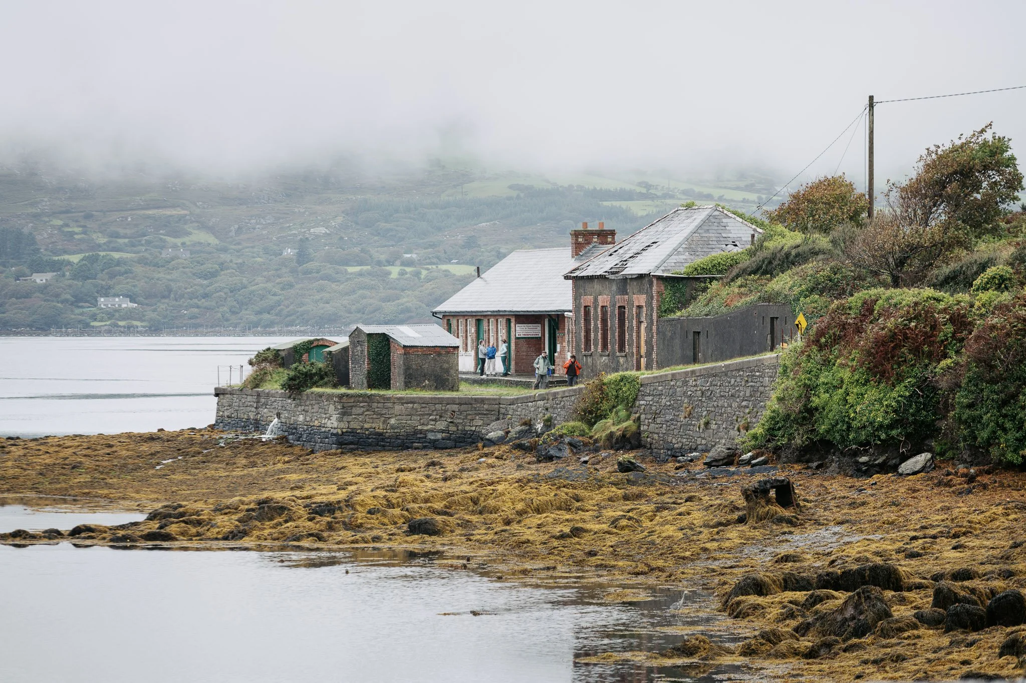 jedniezgoda.com_Bere Island Arts Festival 2025_78_WEB.jpg