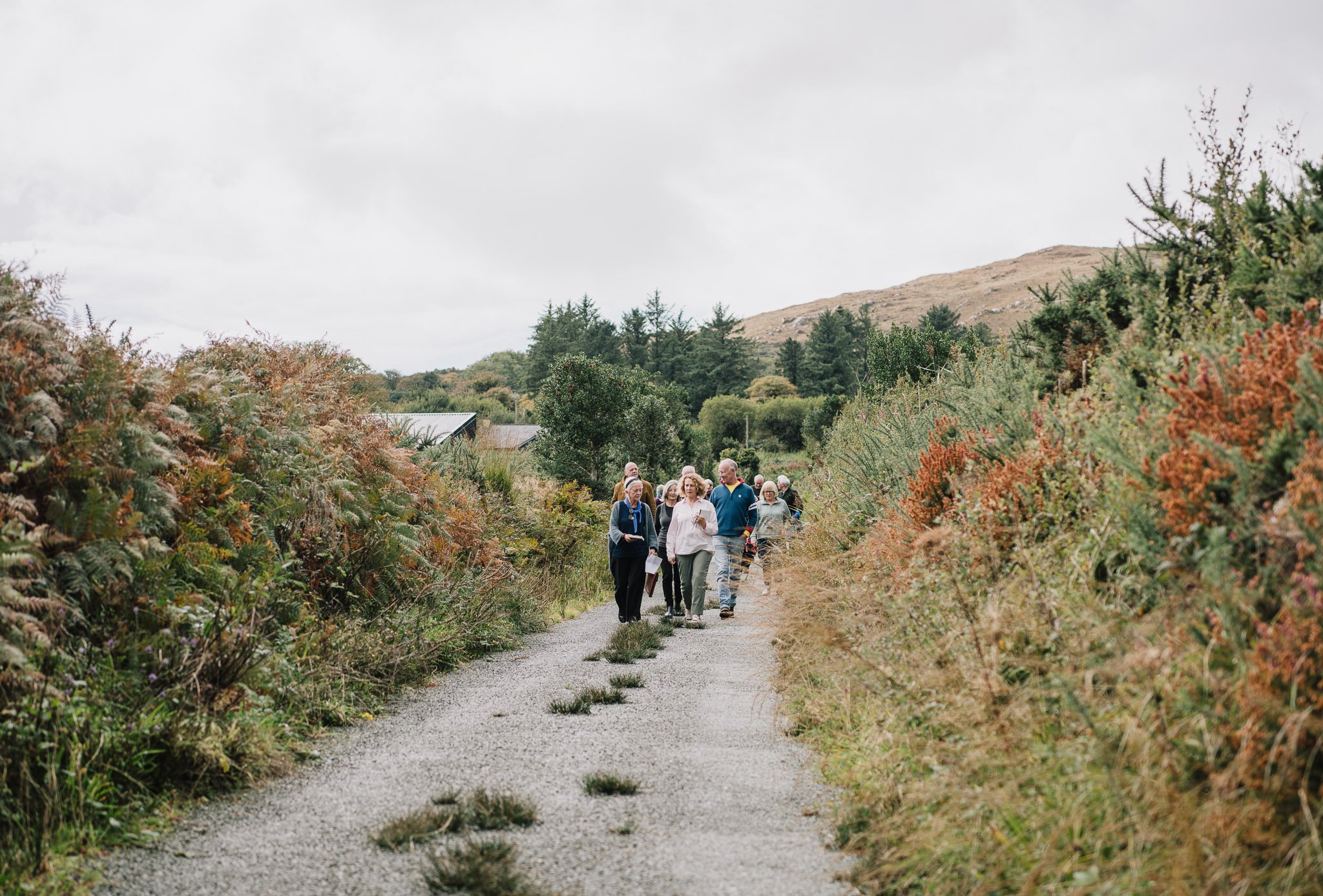 jedniezgoda.com_Bere Island Arts Festival 2025_154_WEB.jpg