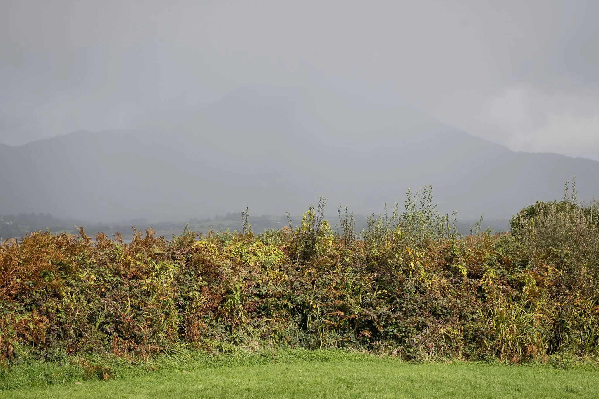 jedniezgoda.com_Bere Island Arts Festival 2025_140_WEB.jpg