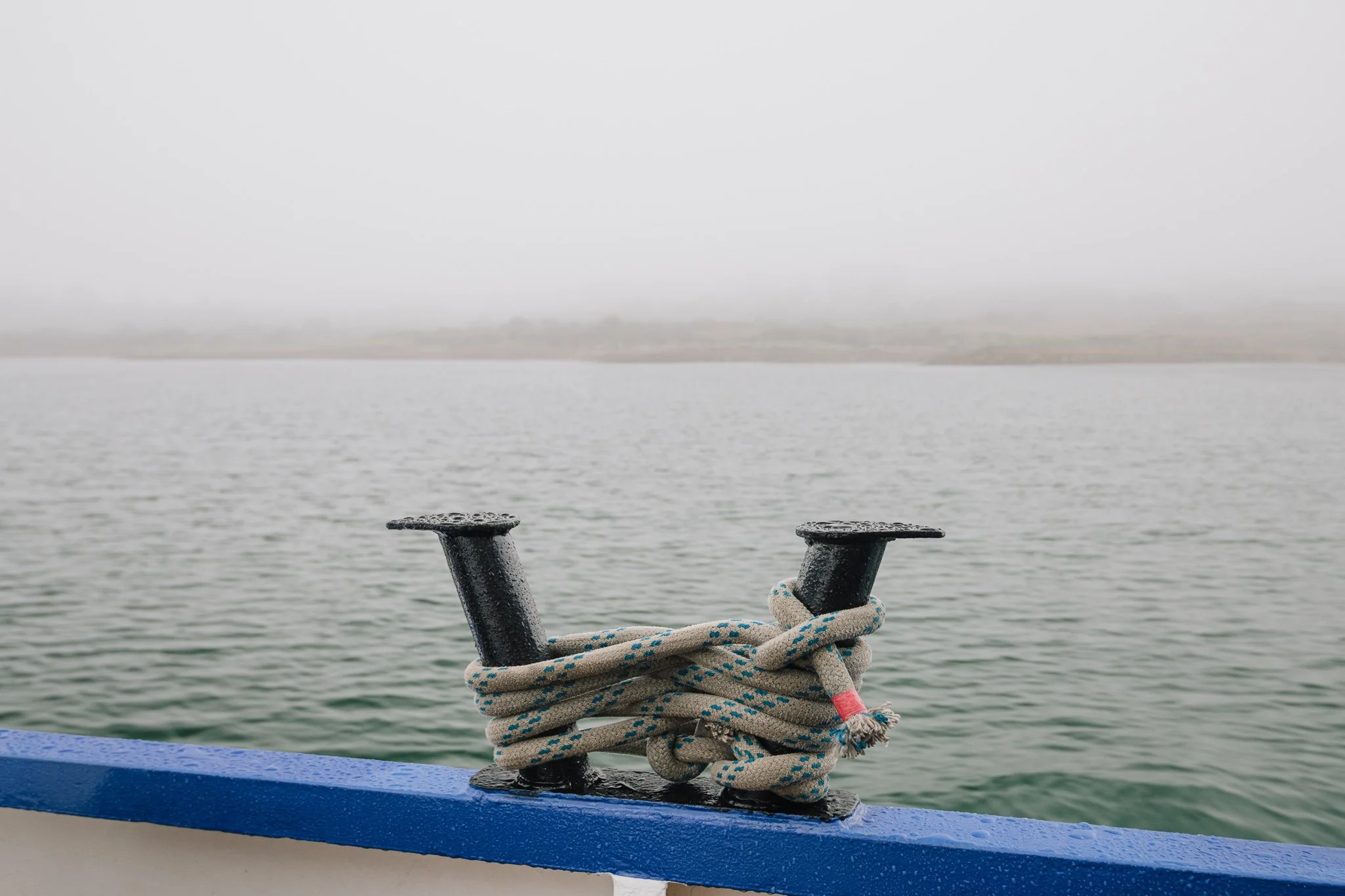 jedniezgoda.com_Bere Island Arts Festival 2025_32_WEB.jpg