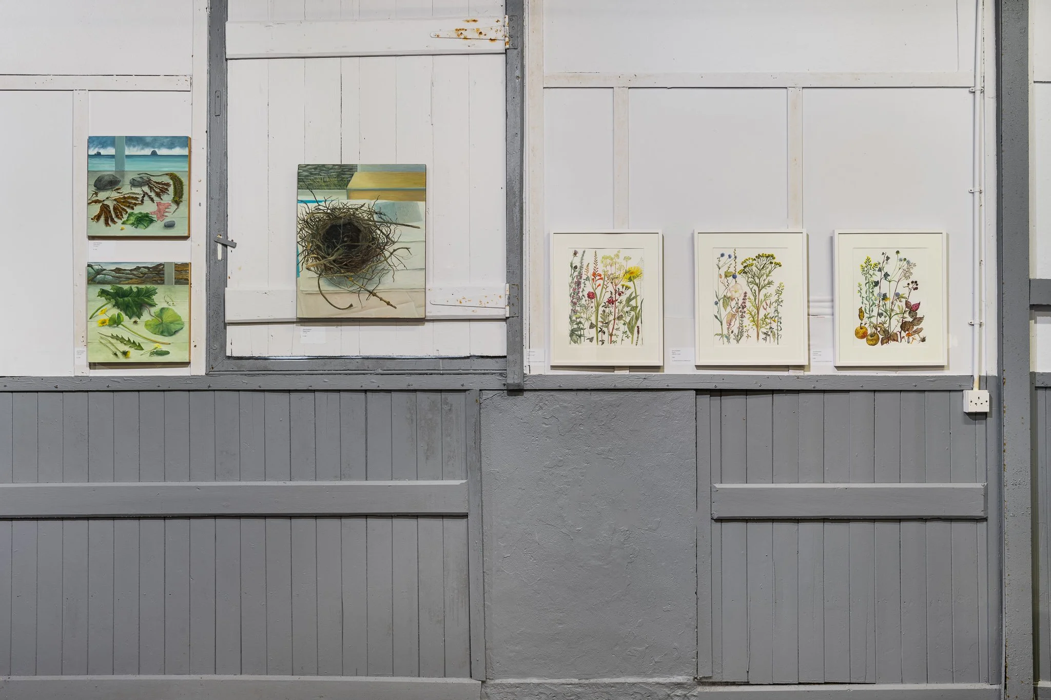 jedniezgoda.com_jedniezgoda.com_Bere Island Arts Festival_243_WEB.jpg