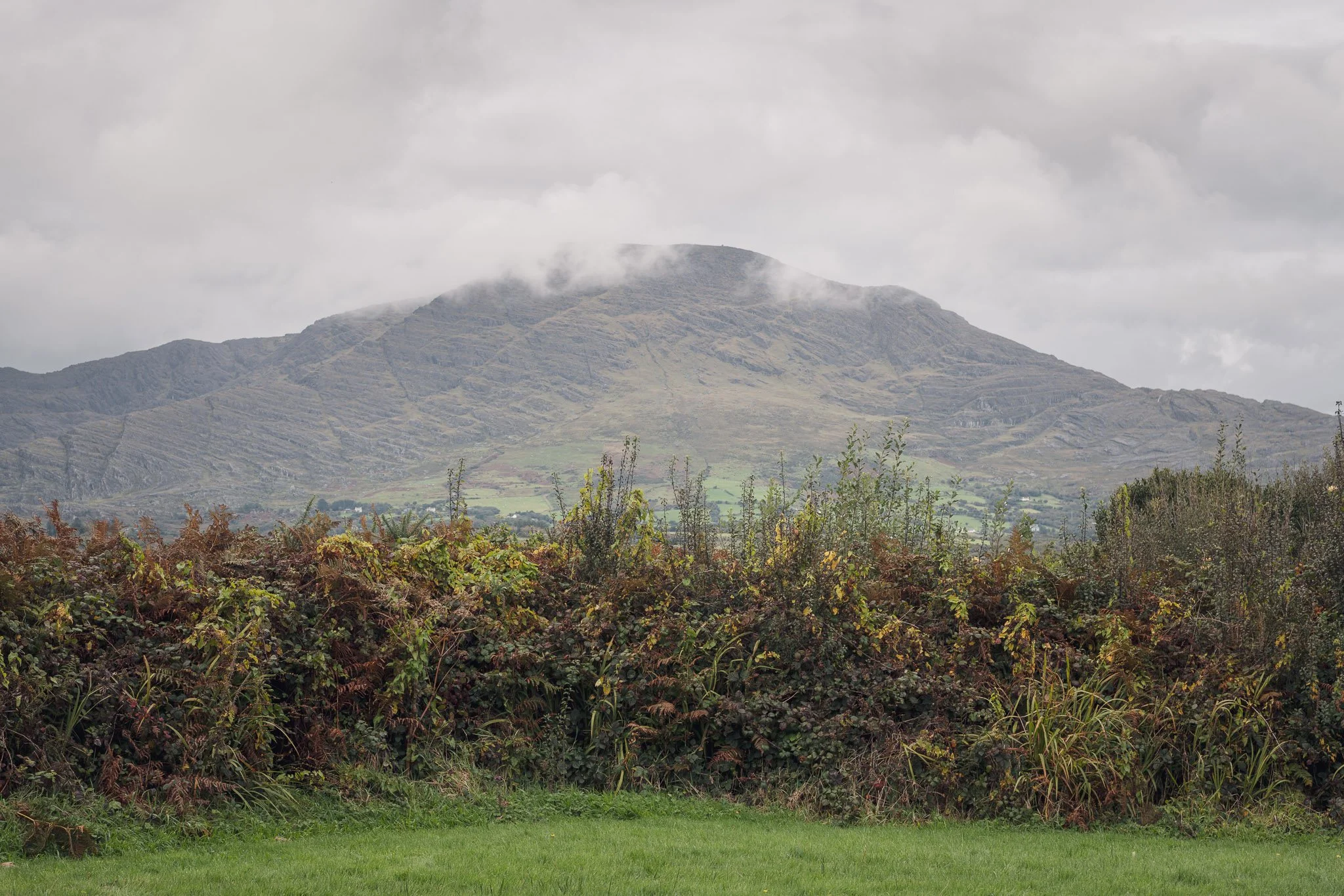jedniezgoda.com_Bere Island Arts Festival 2025_100_WEB.jpg