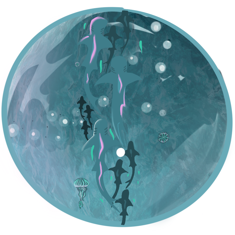 IMG_0777.png