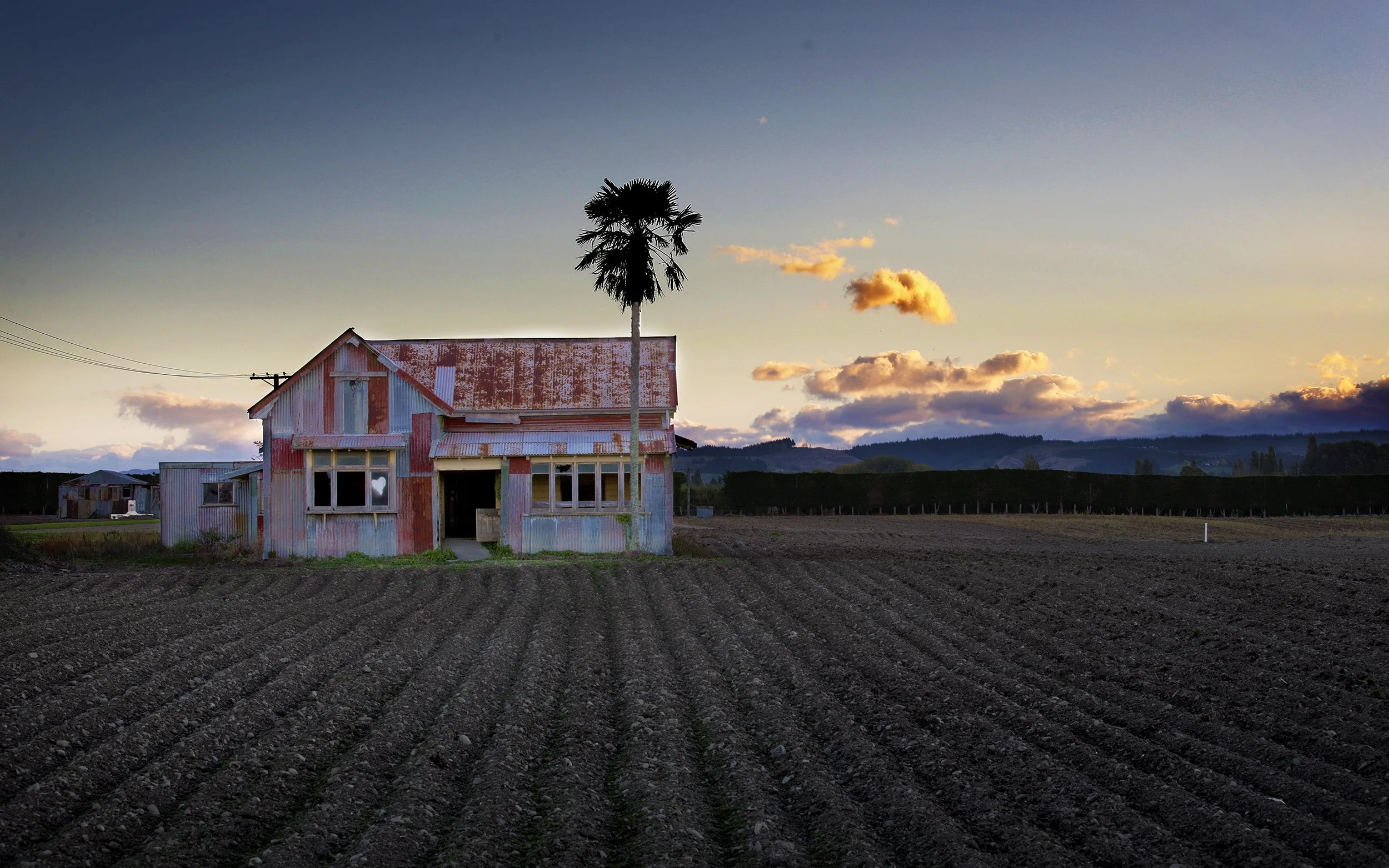 old house with tree copy.jpg