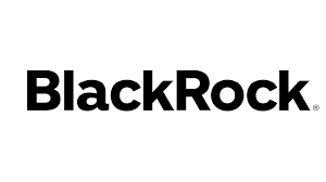 BlackRock logo in black text on a white background
