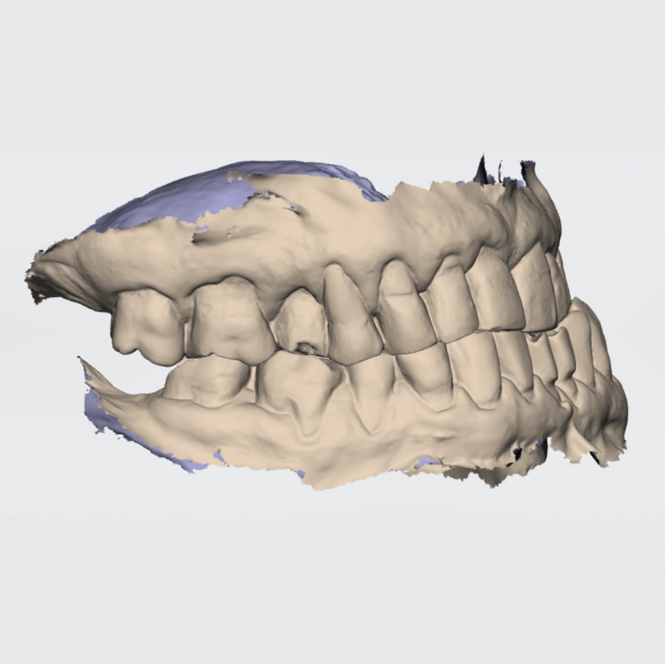 Teeth 1.jpg