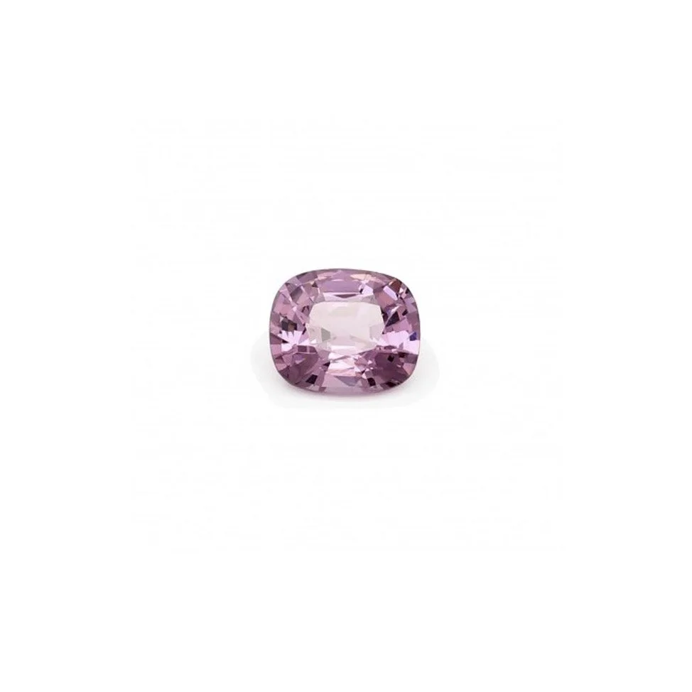 OURSINpierre spinelle.jpg