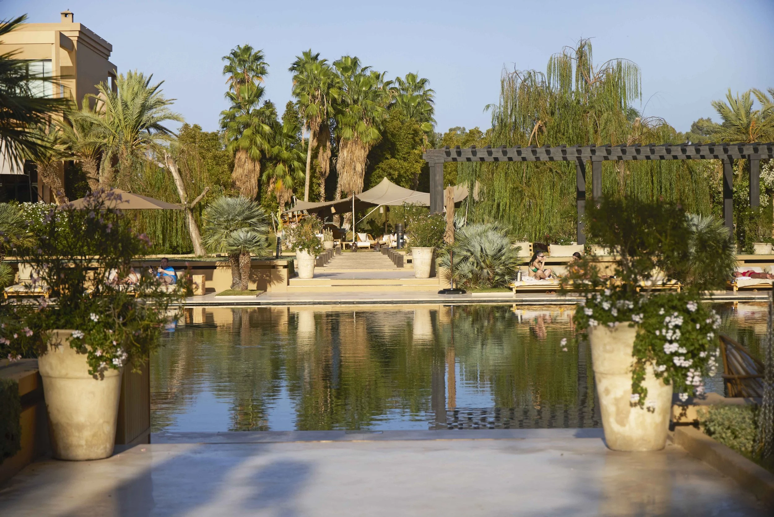 IMG_2864 RT WEBSITE copy.jpg