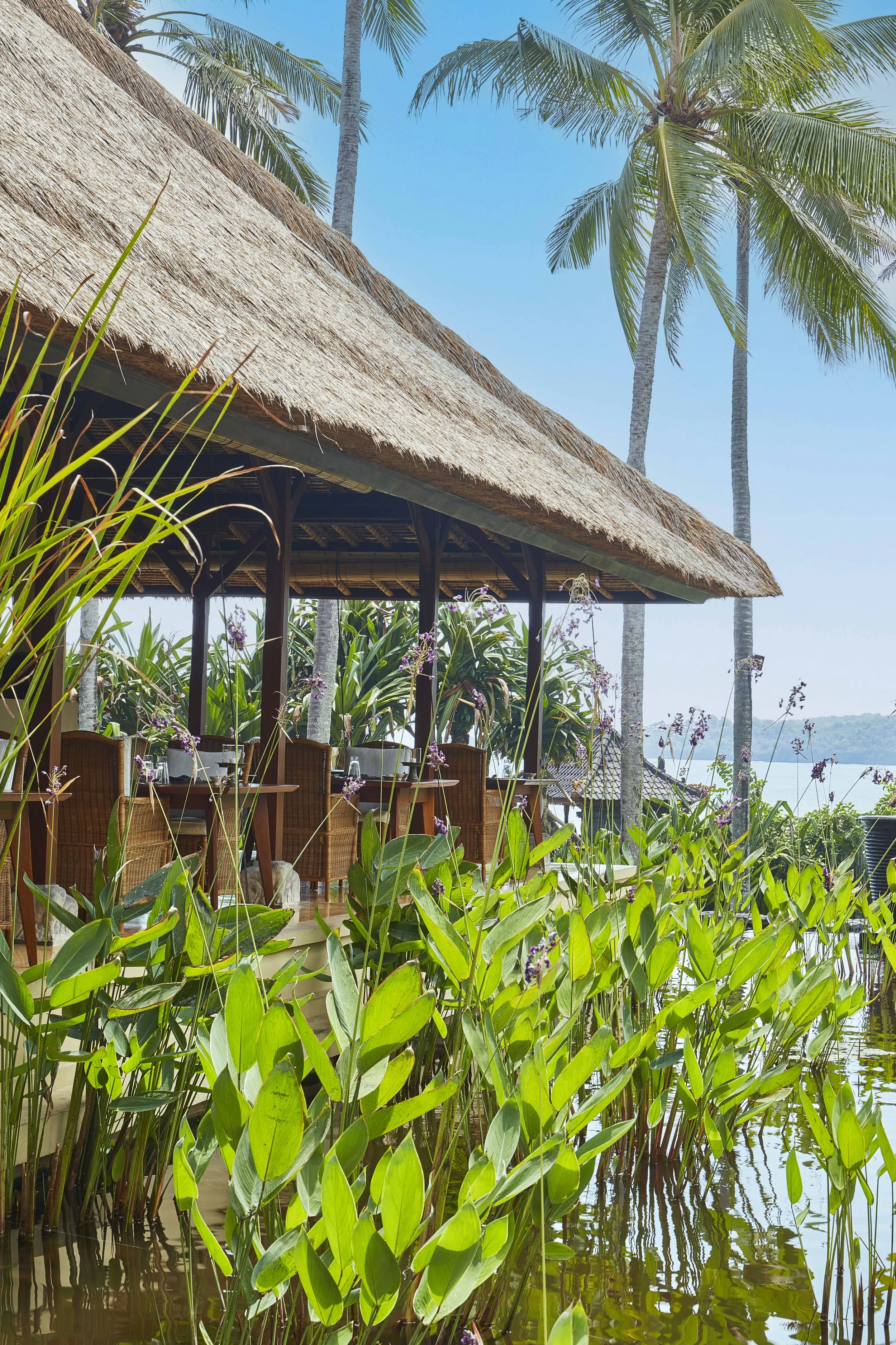 2Q0A7237 1 MEW WEBSITE copy.jpg